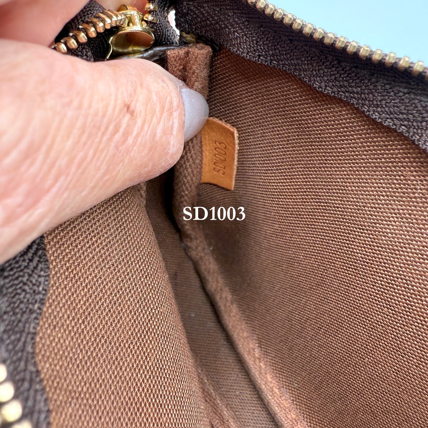 Louis Vuitton Pochette Accessories