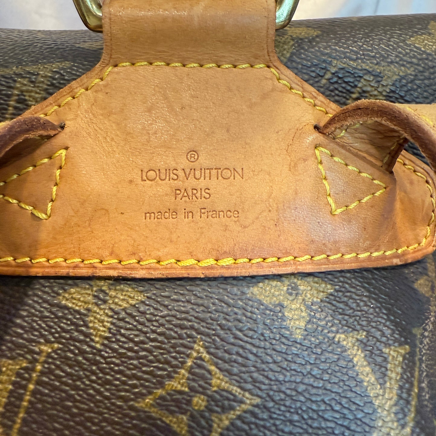 Louis Vuitton Montsouris MM Backpack