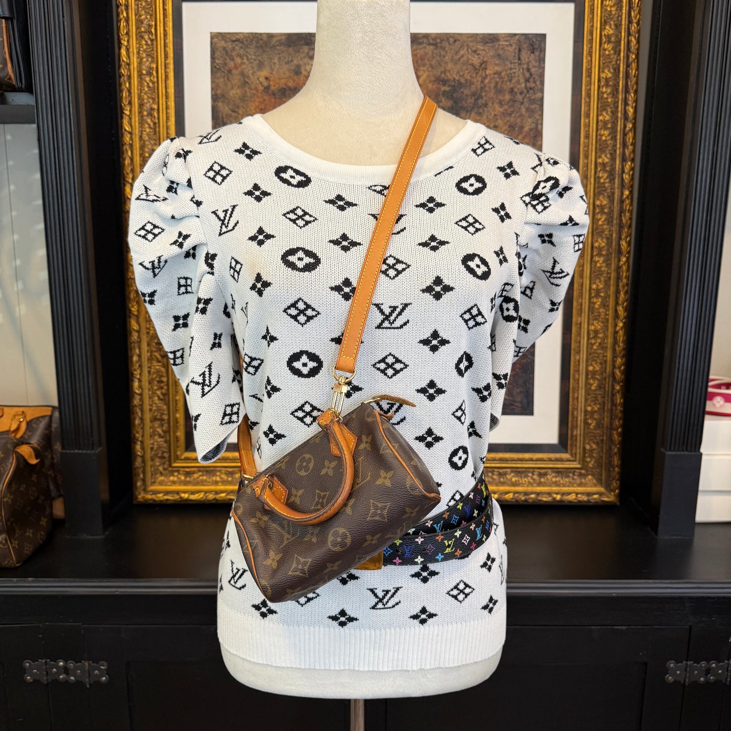 Louis Vuitton Mini Speedy