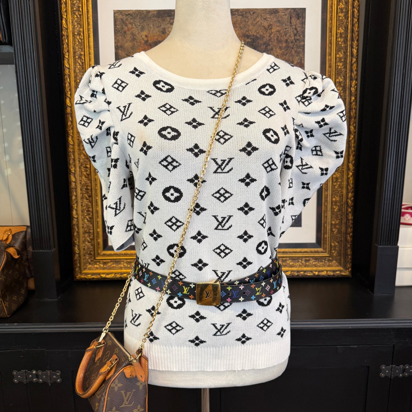 Louis Vuitton Mini Speedy