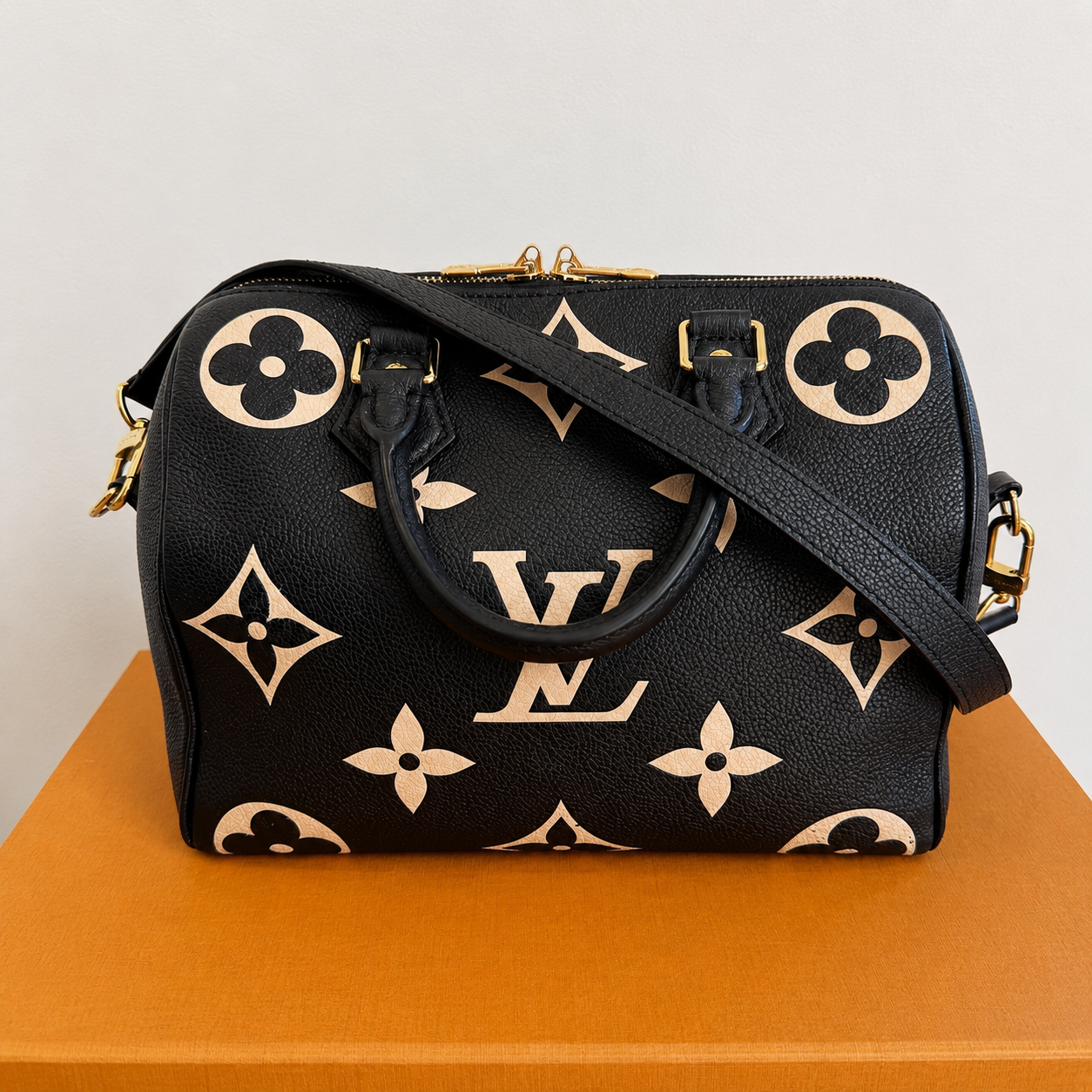 Louis Vuitton Speedy 25 Bicolor – Z Purses