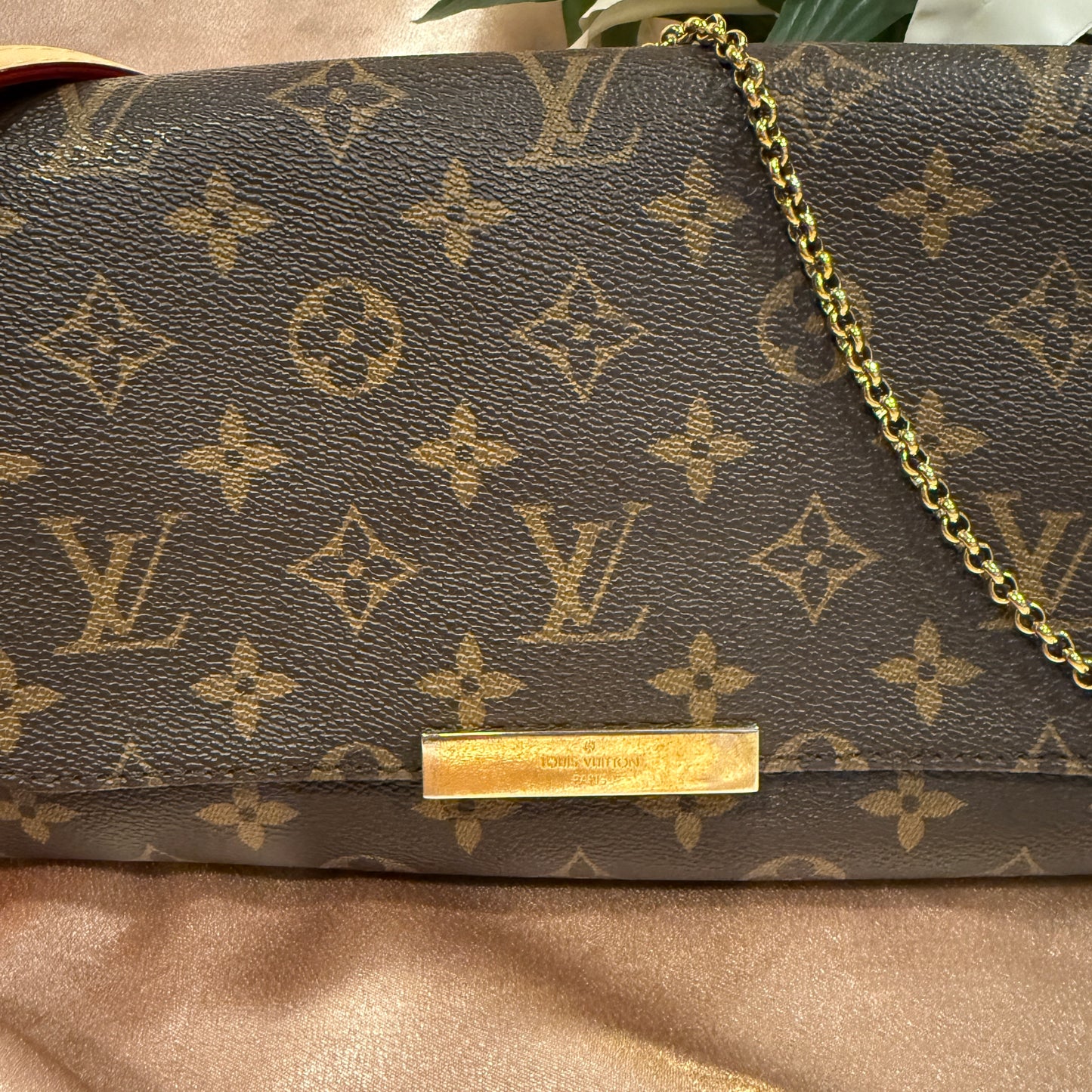 Louis Vuitton Favorite MM
