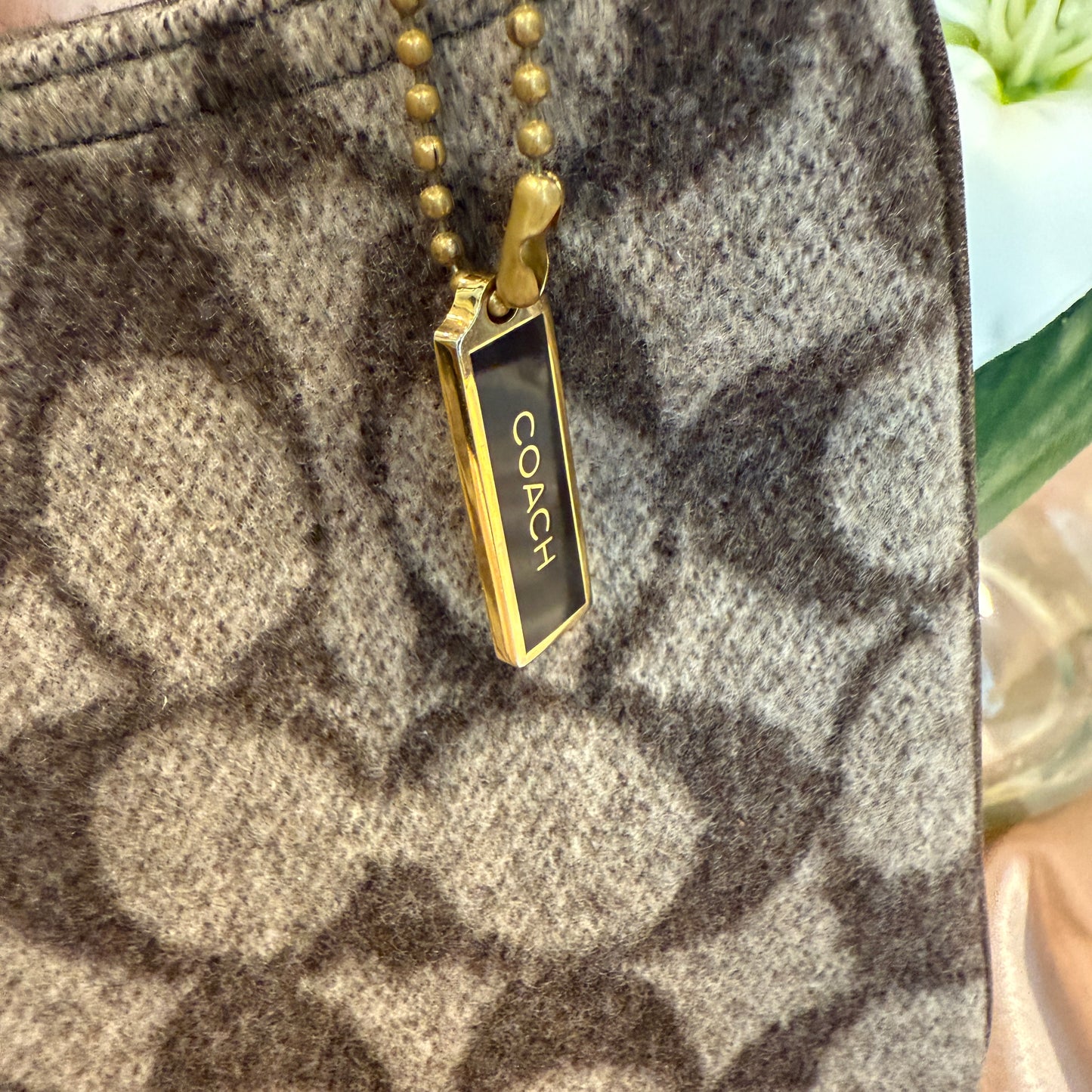 Coach Pochette
