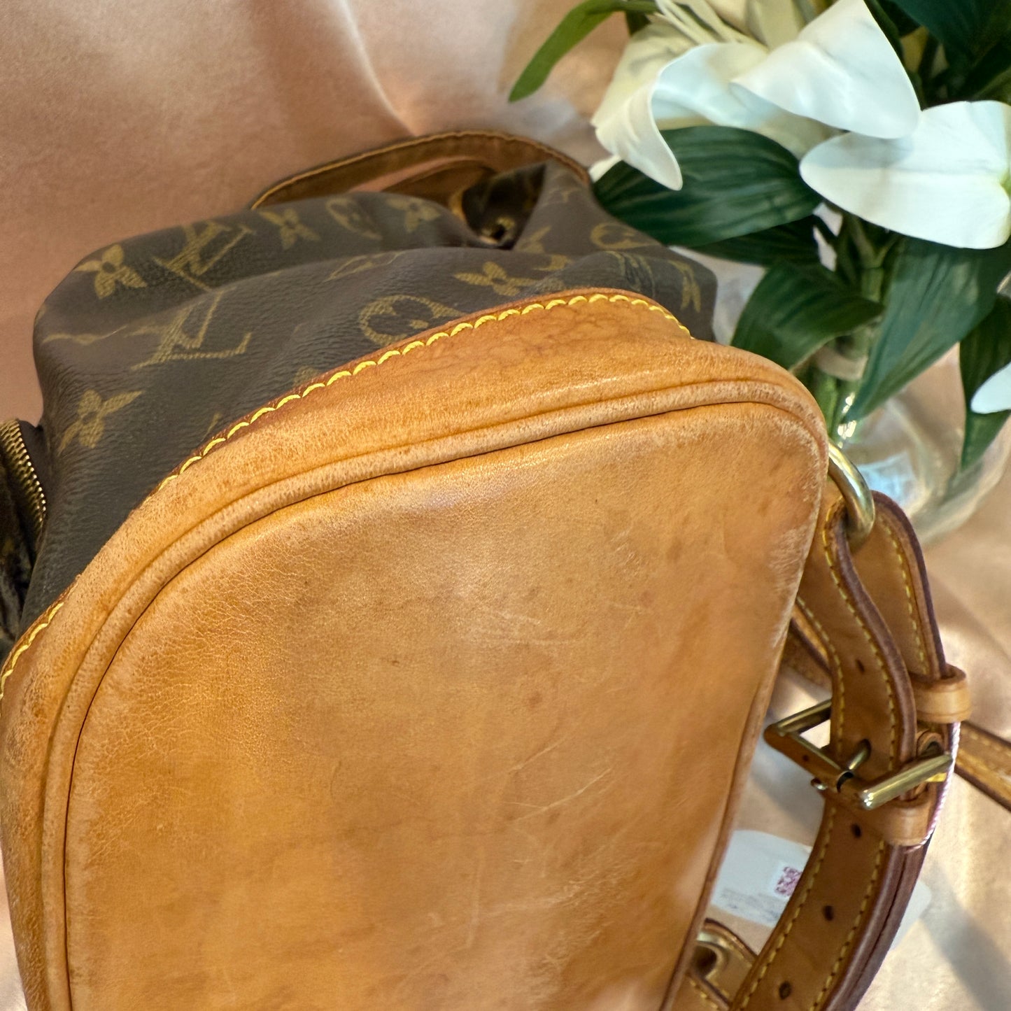 Louis Vuitton Montsouris MM Backpack