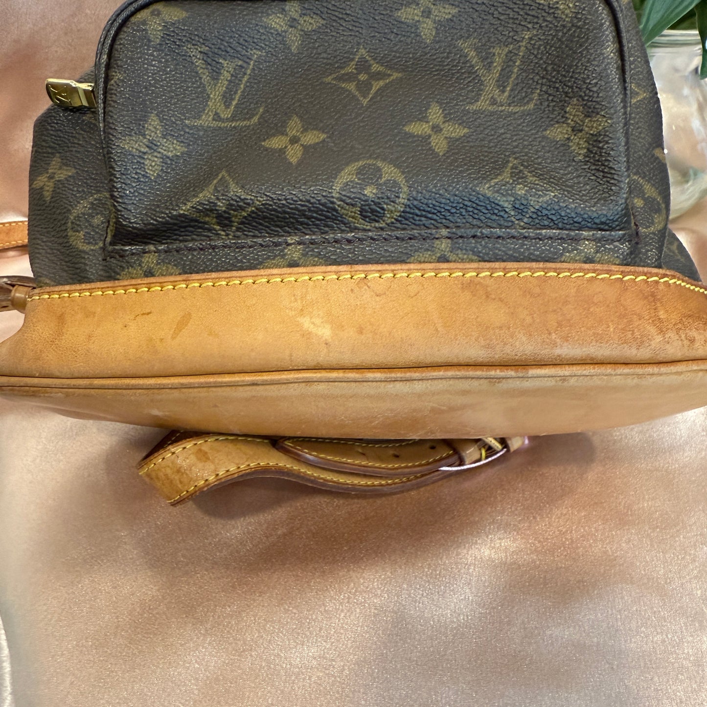 Louis Vuitton Montsouris MM Backpack