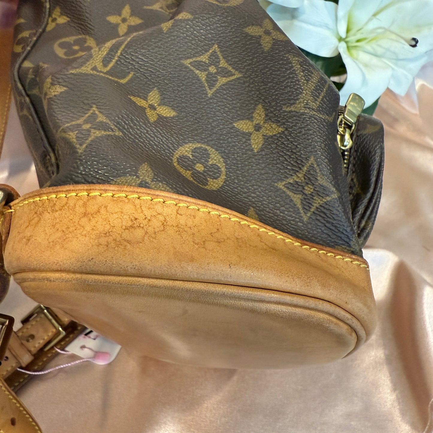 Louis Vuitton Montsouris MM Backpack