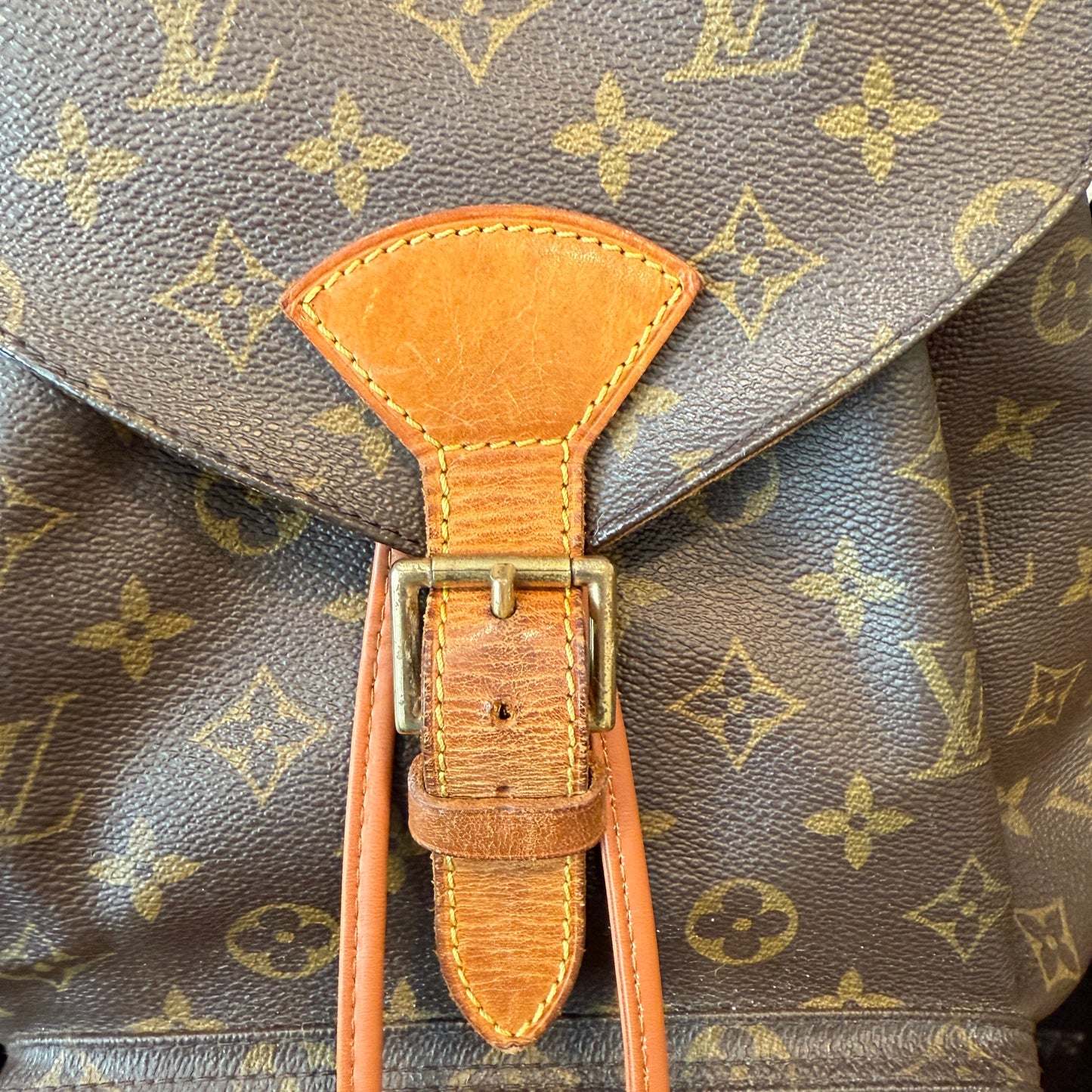Louis Vuitton Montsouris GM Backpack