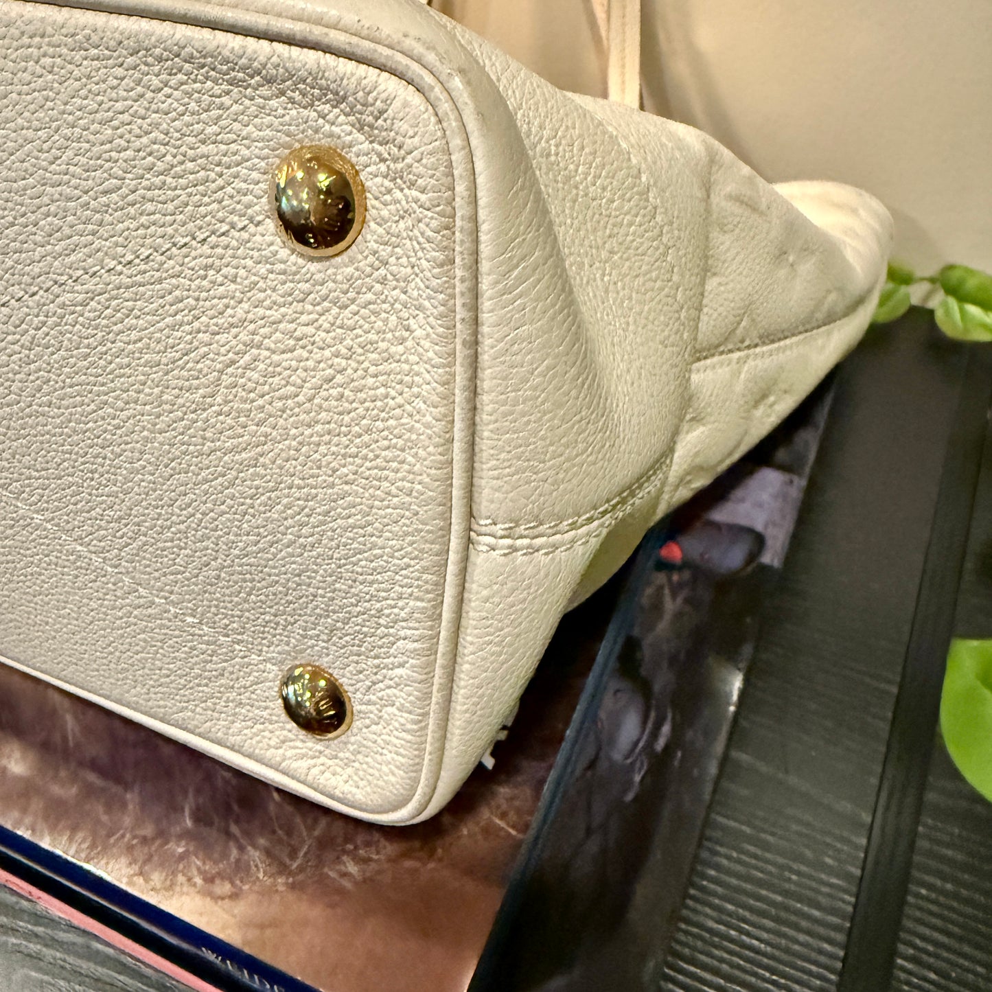 Louis Vuitton Citadine Tote