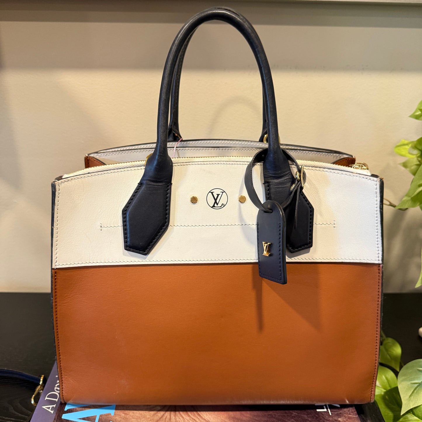 Louis Vuitton City Steamer
