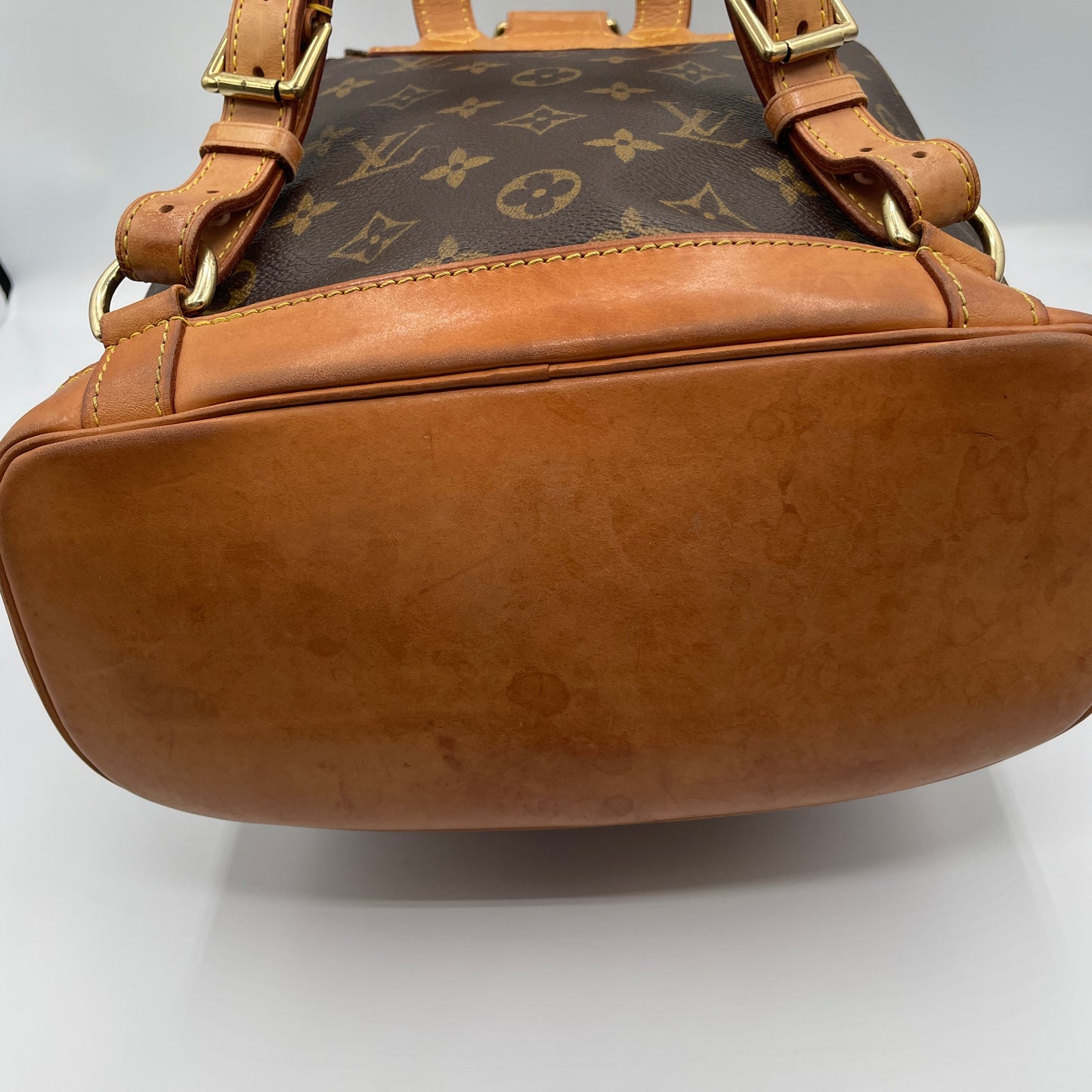Louis Vuitton Montsouris Backpack MM