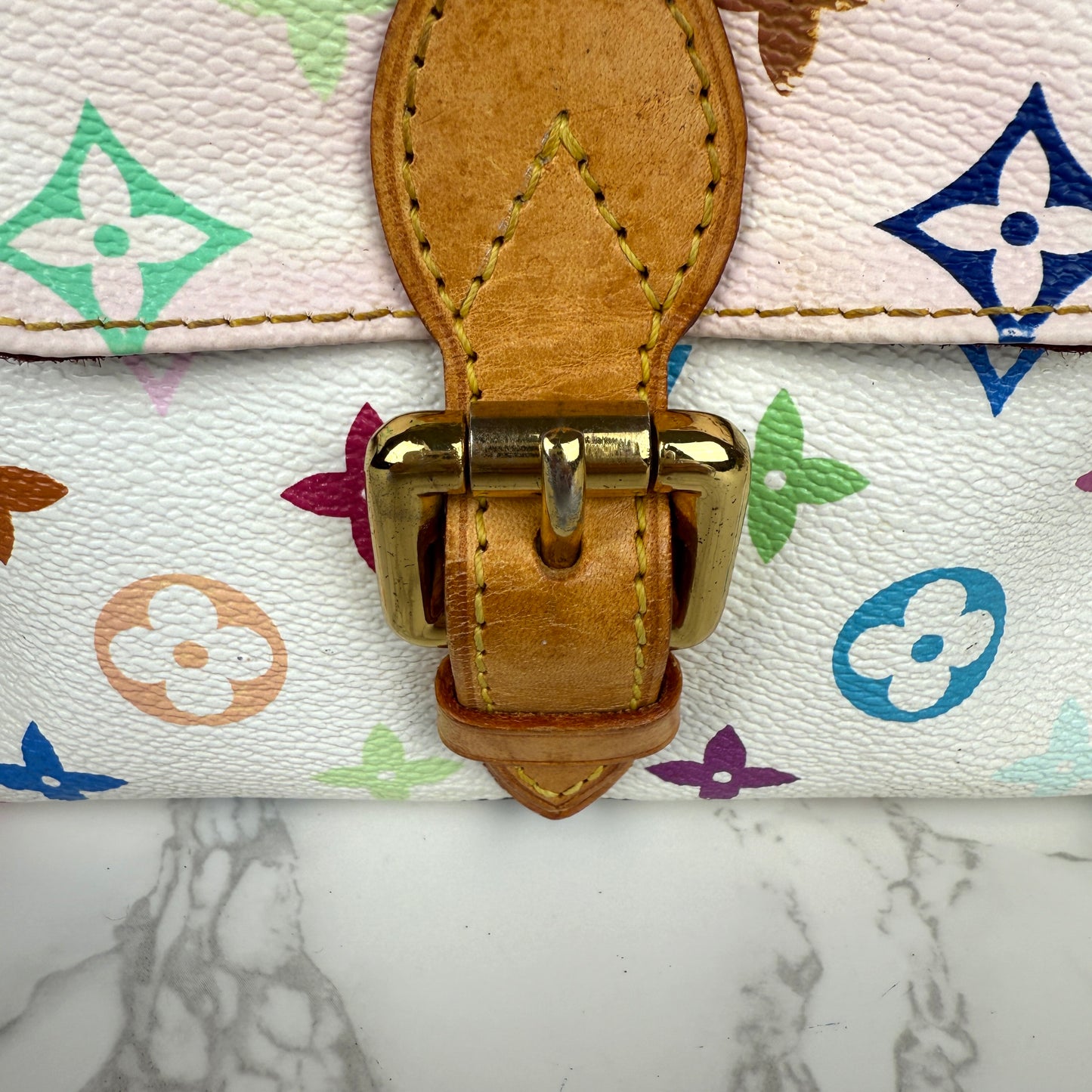Louis Vuitton Multicolor Eliza Murakami