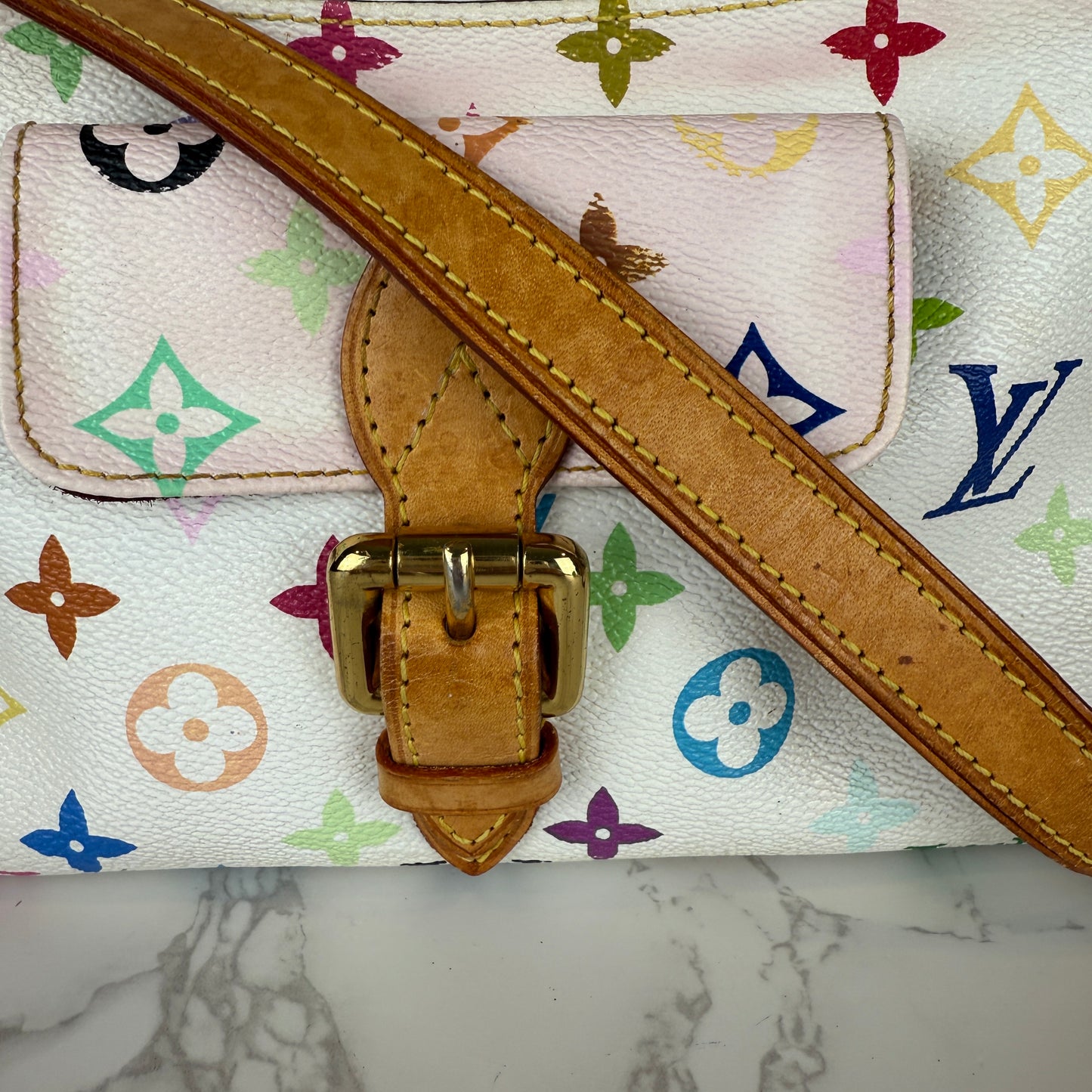 Louis Vuitton Multicolor Eliza Murakami
