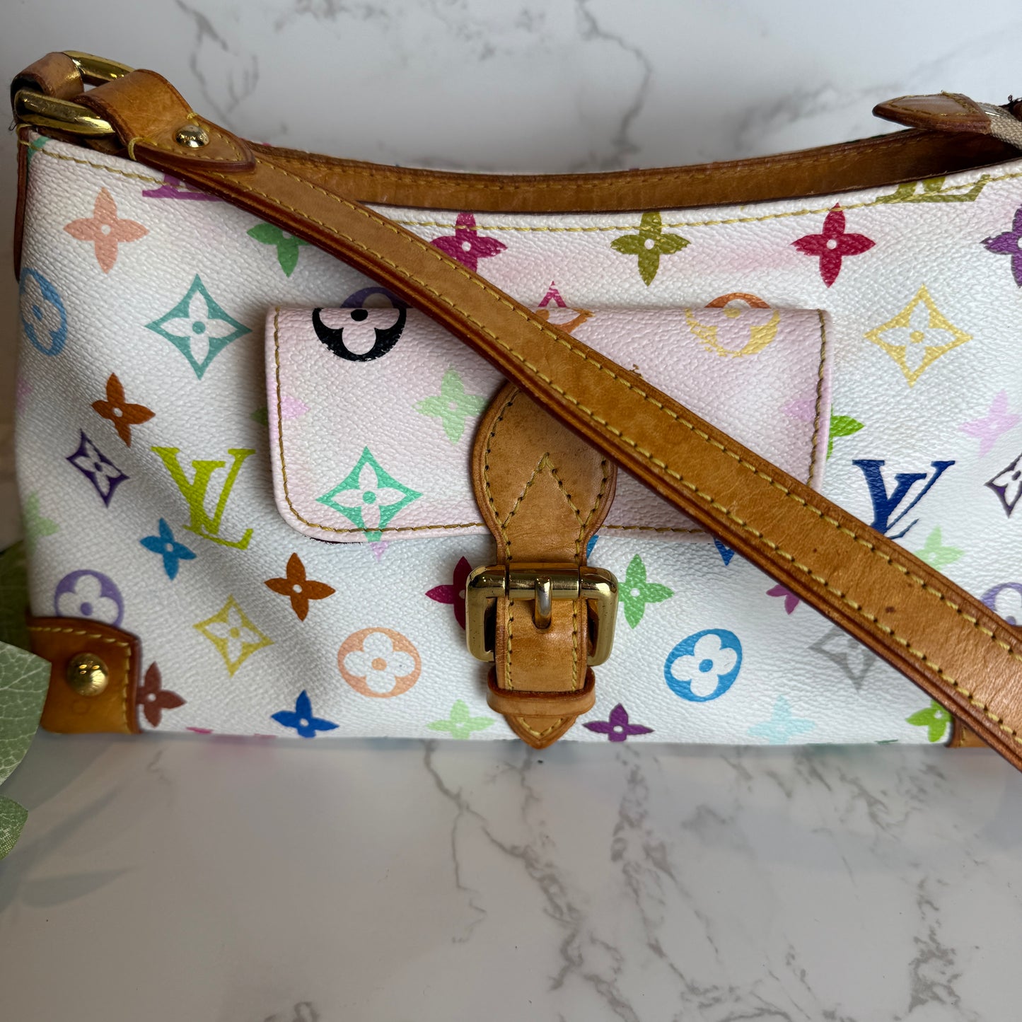 Louis Vuitton Multicolor Eliza Murakami