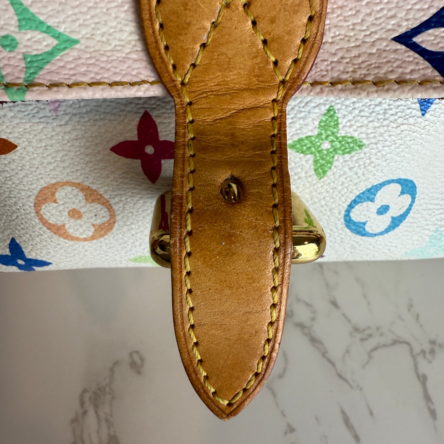 Louis Vuitton Multicolor Eliza Murakami