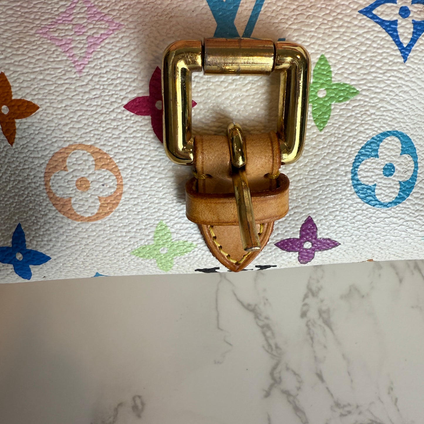 Louis Vuitton Multicolor Eliza Murakami