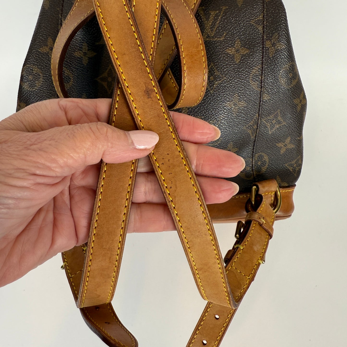 Louis Vuitton Montsouris MM