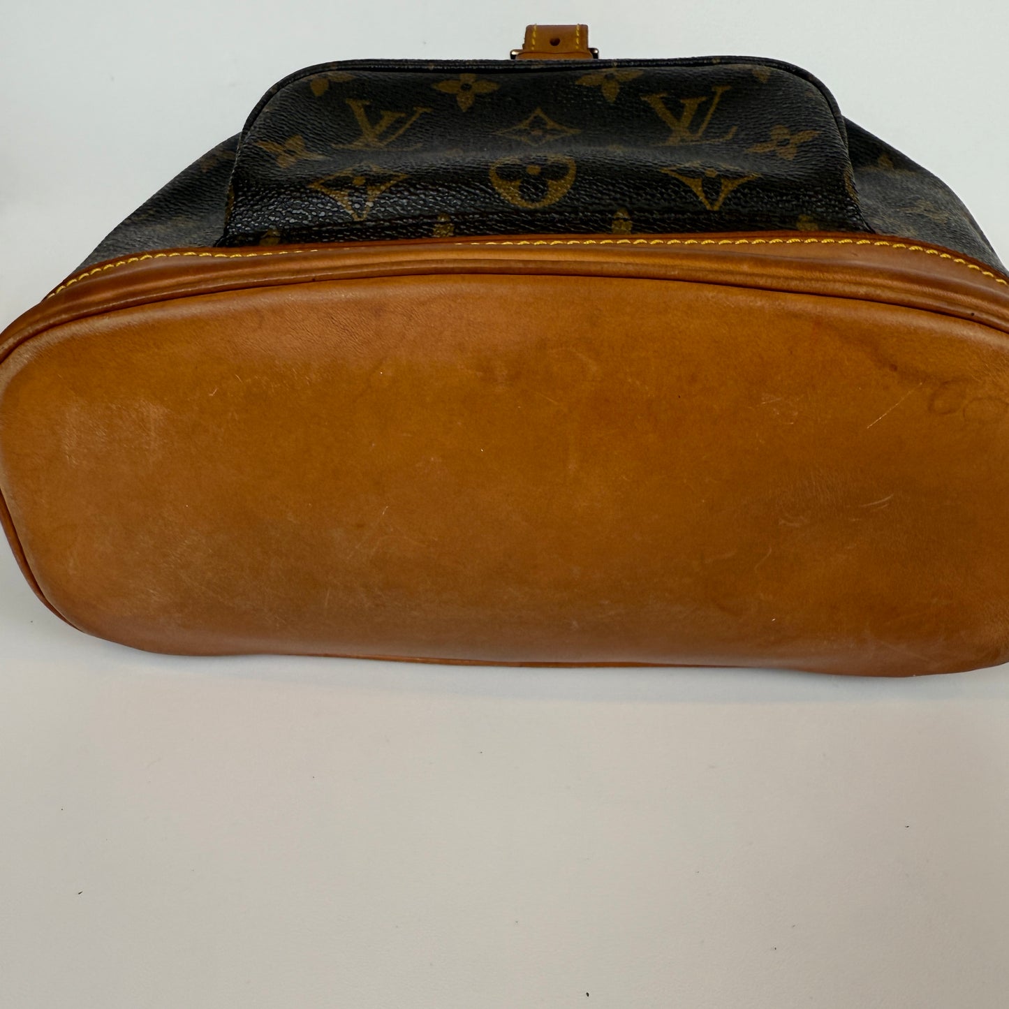 Louis Vuitton Montsouris MM