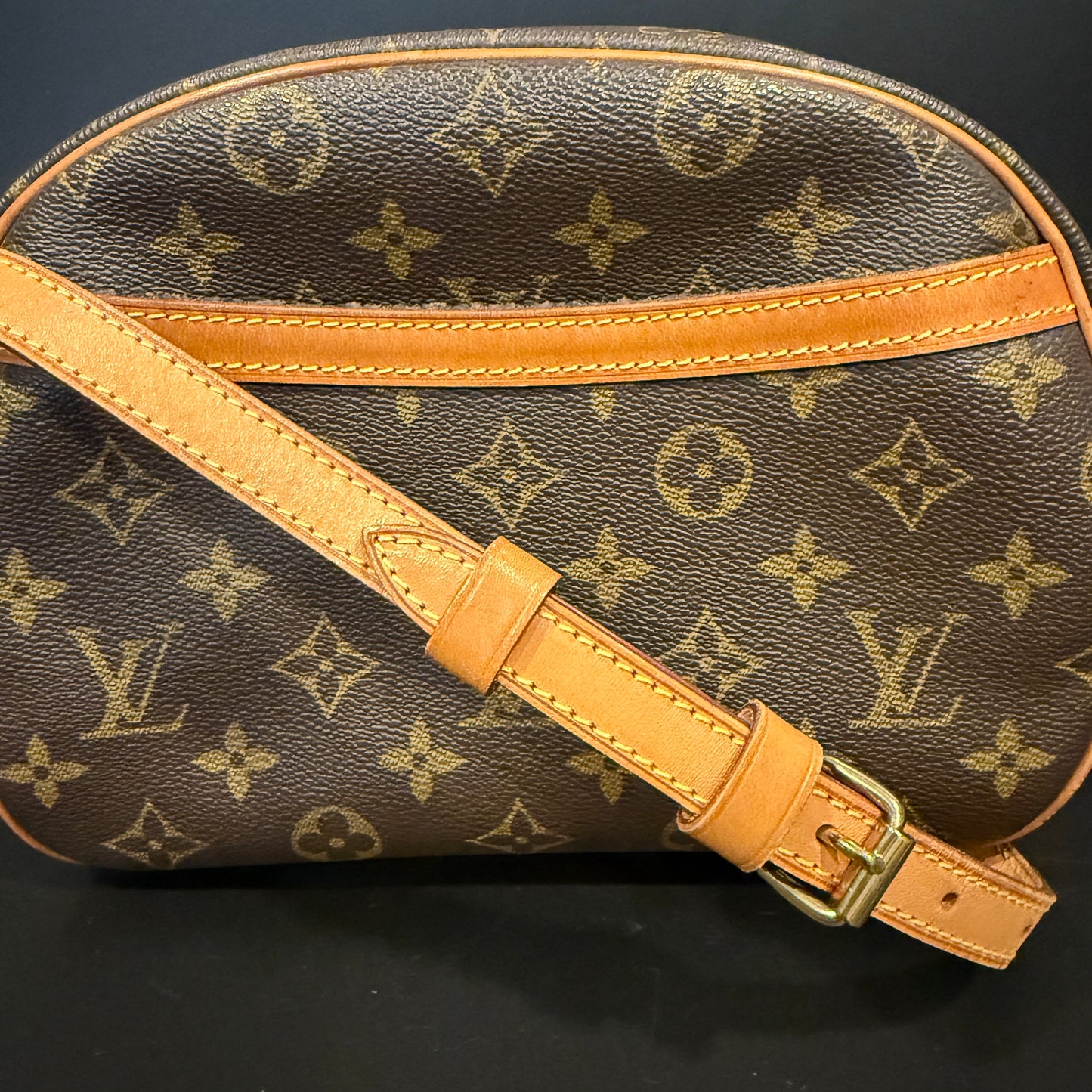 Louis Vuitton Blois