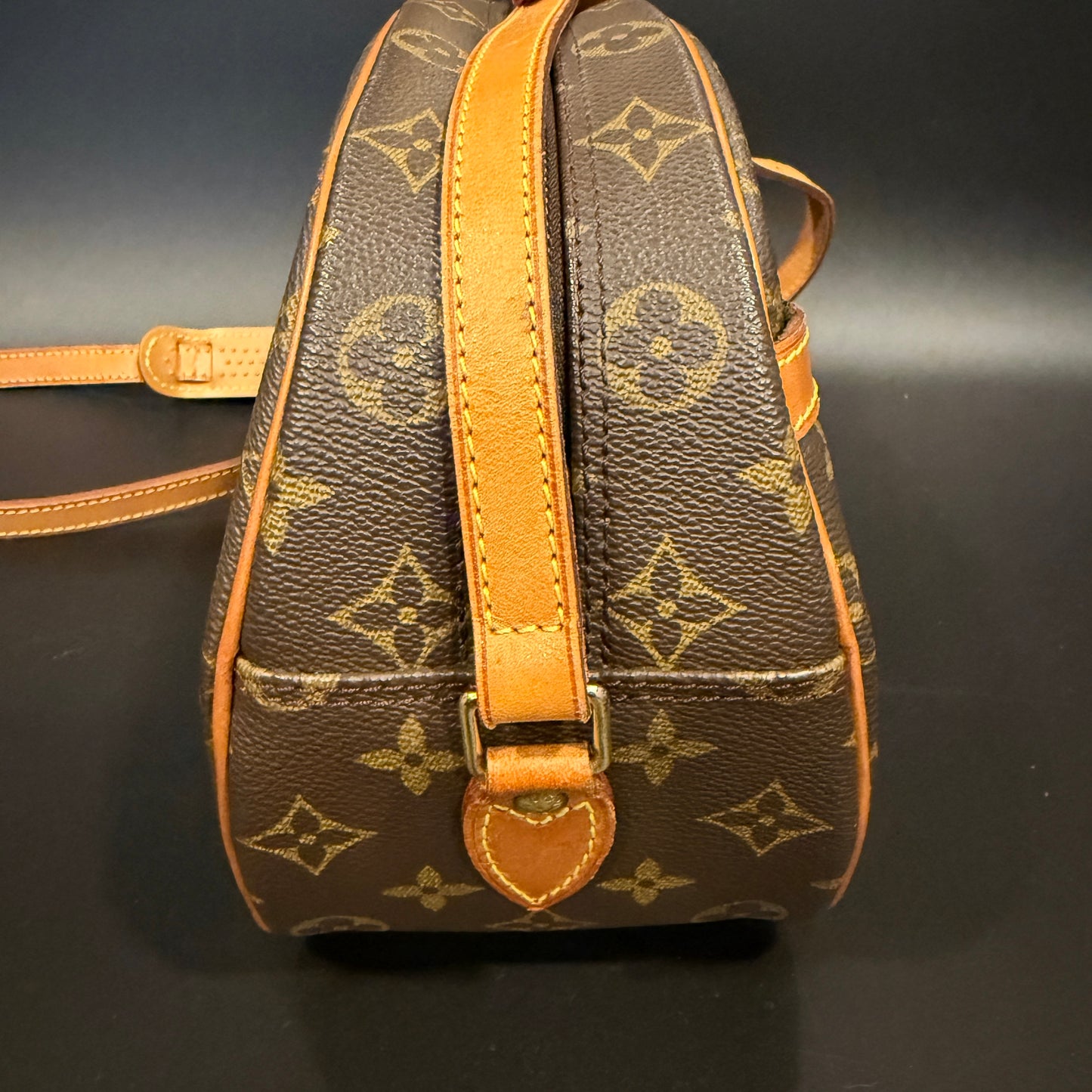 Louis Vuitton Blois