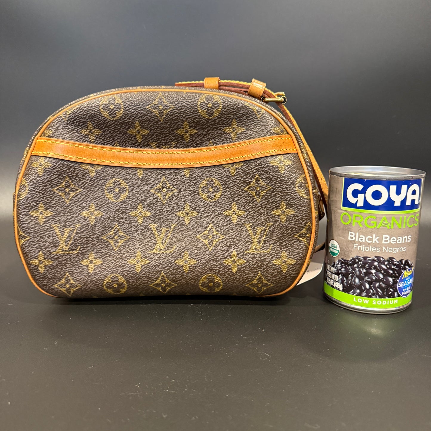 Louis Vuitton Blois