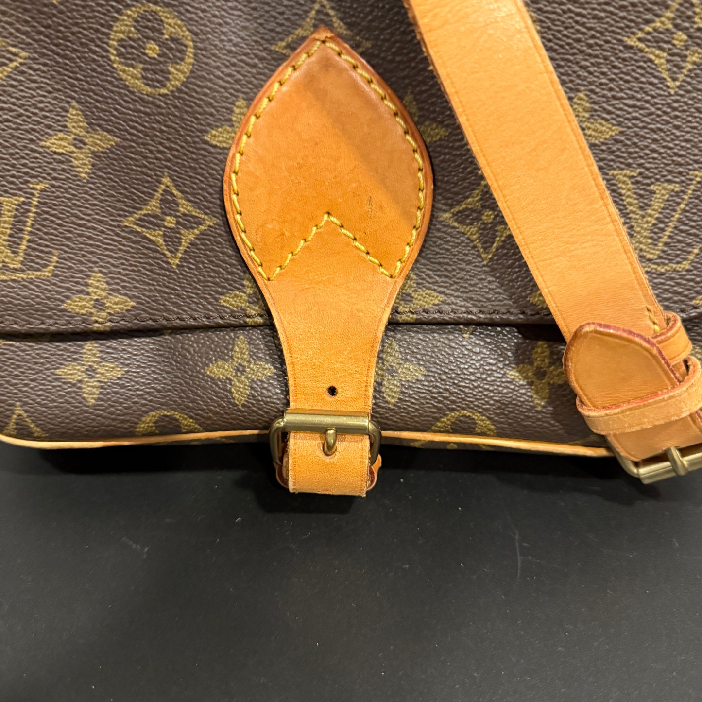 Louis Vuitton Cartouchiere MM