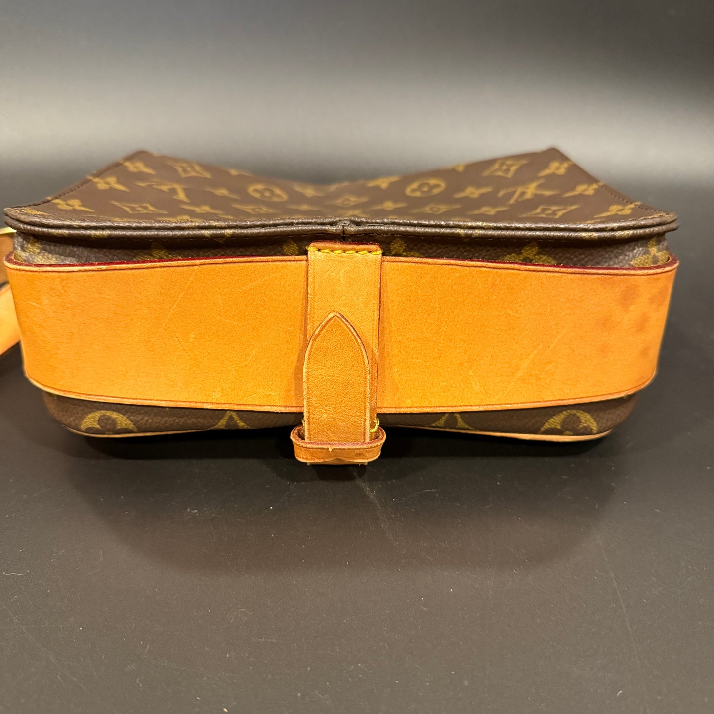 Louis Vuitton Cartouchiere MM