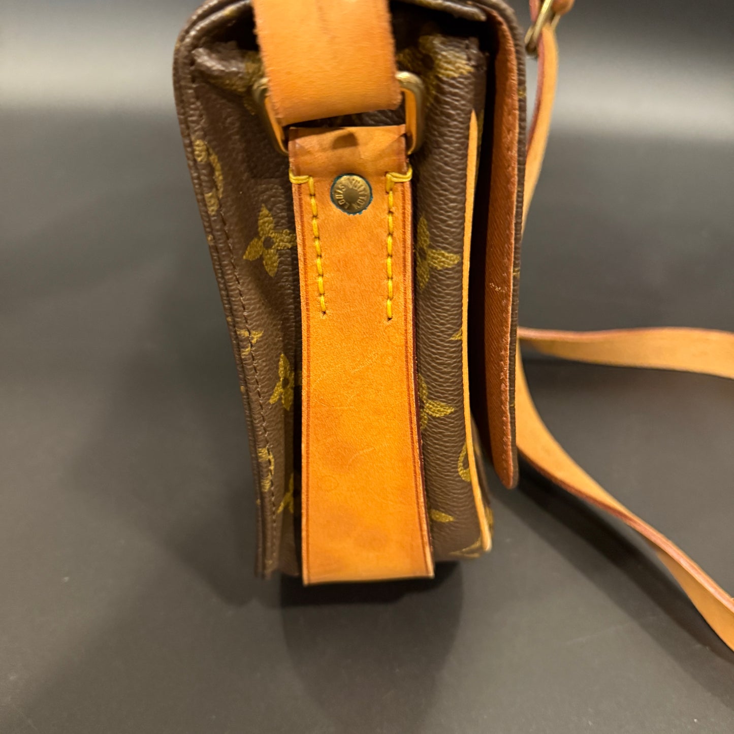 Louis Vuitton Cartouchiere MM