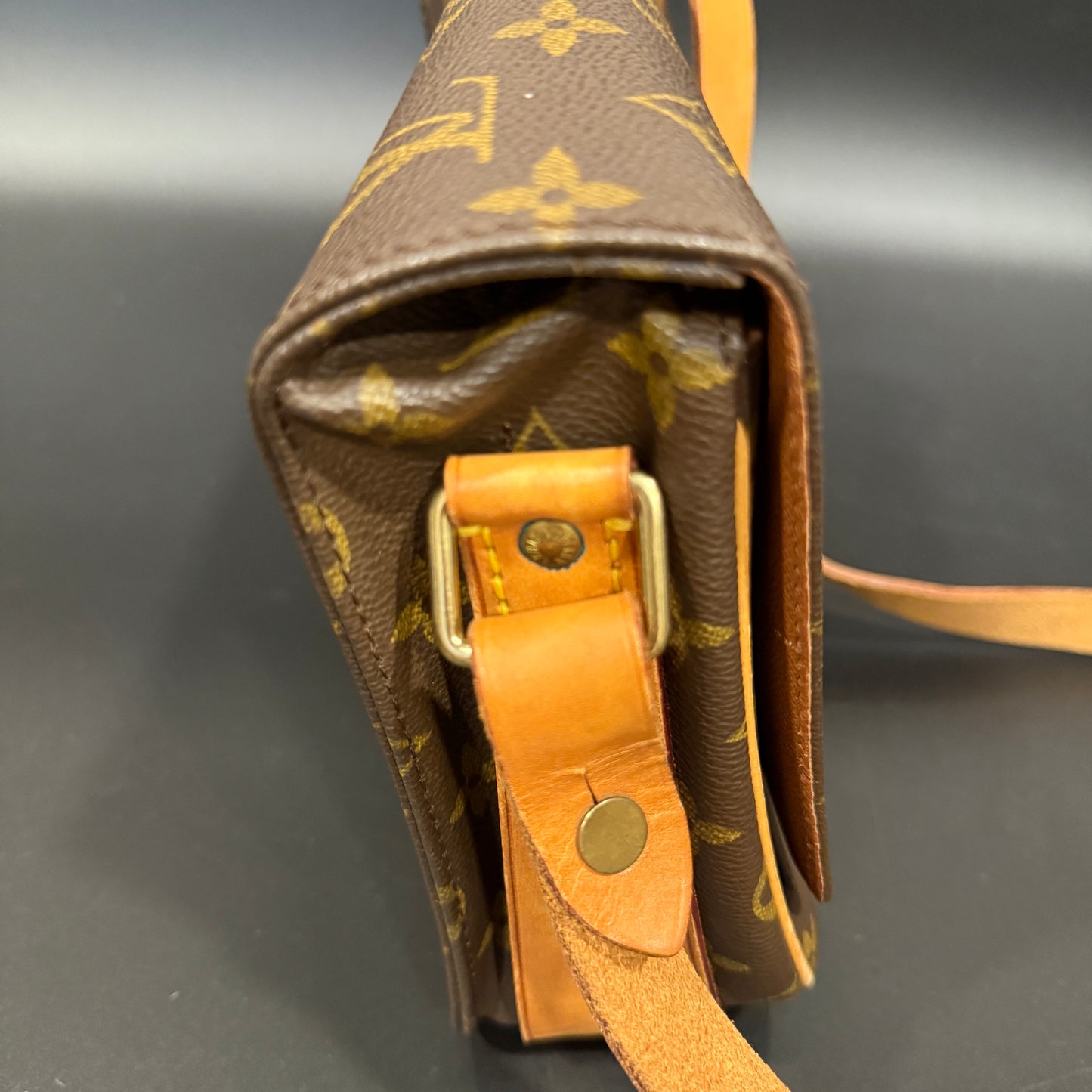 Louis Vuitton Cartouchiere MM