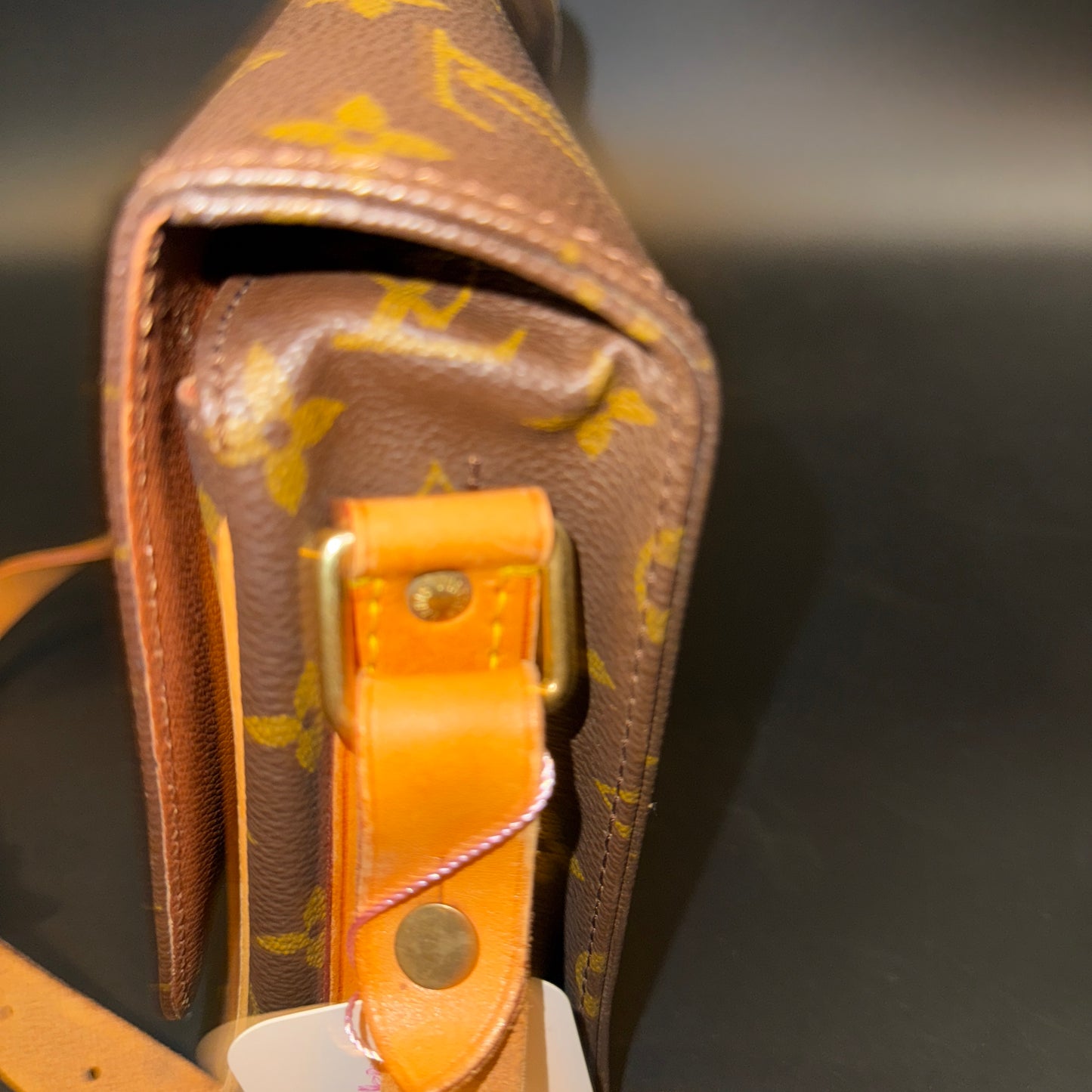 Louis Vuitton Cartouchiere MM