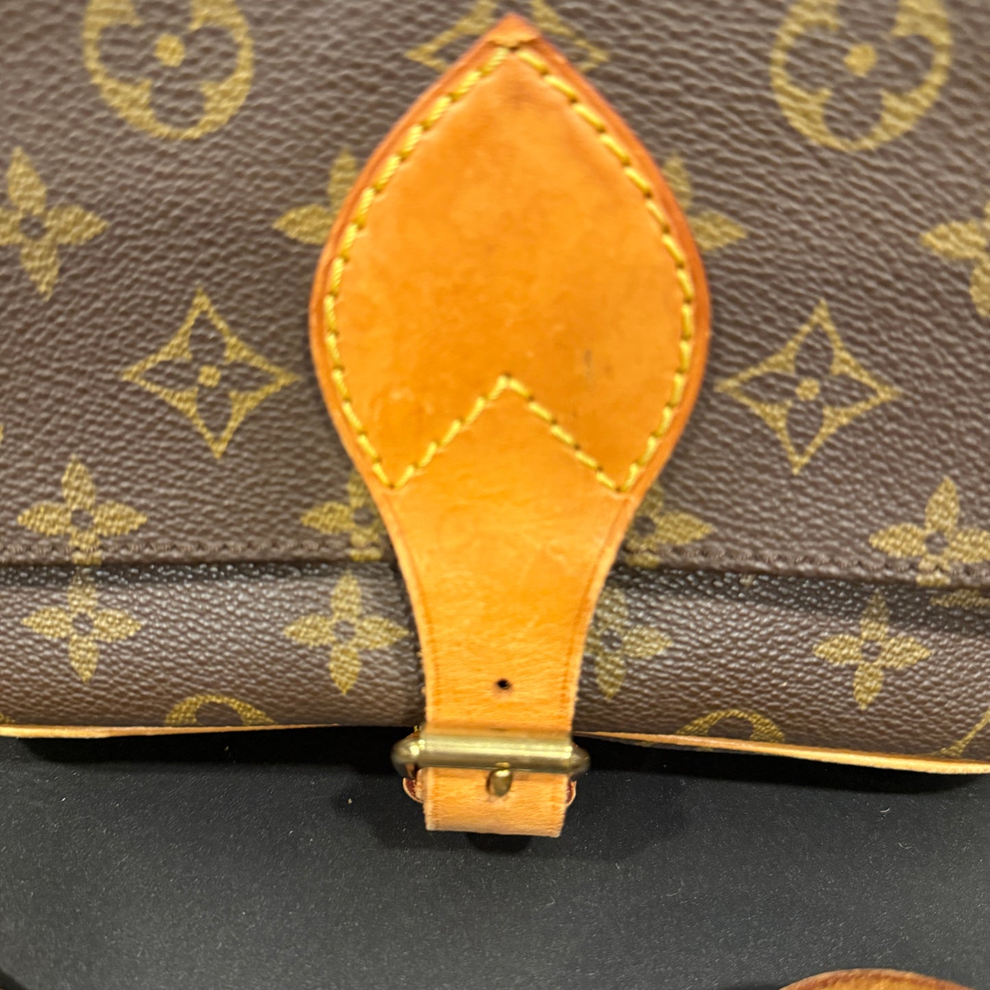 Louis Vuitton Cartouchiere MM