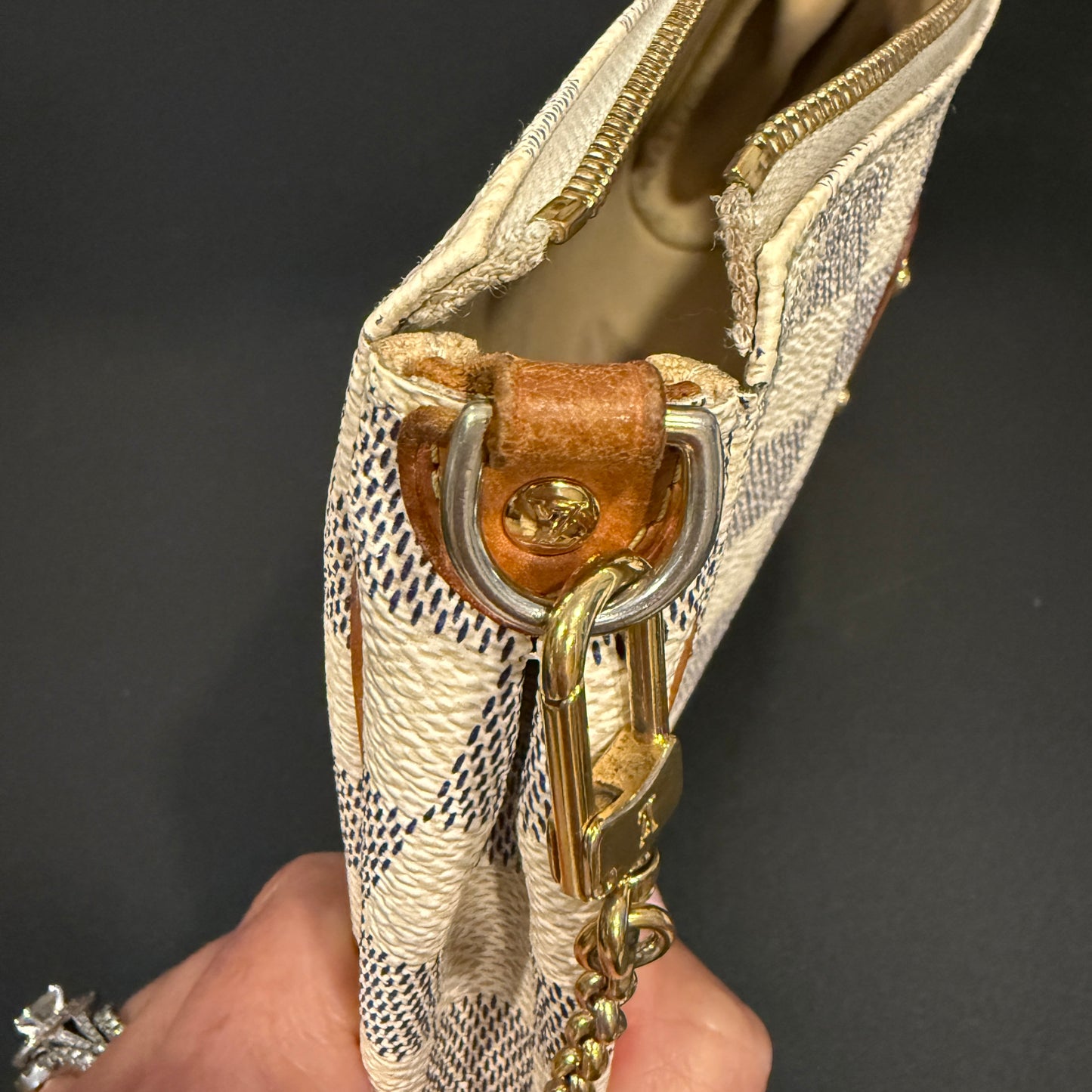 Louis Vuitton Eva