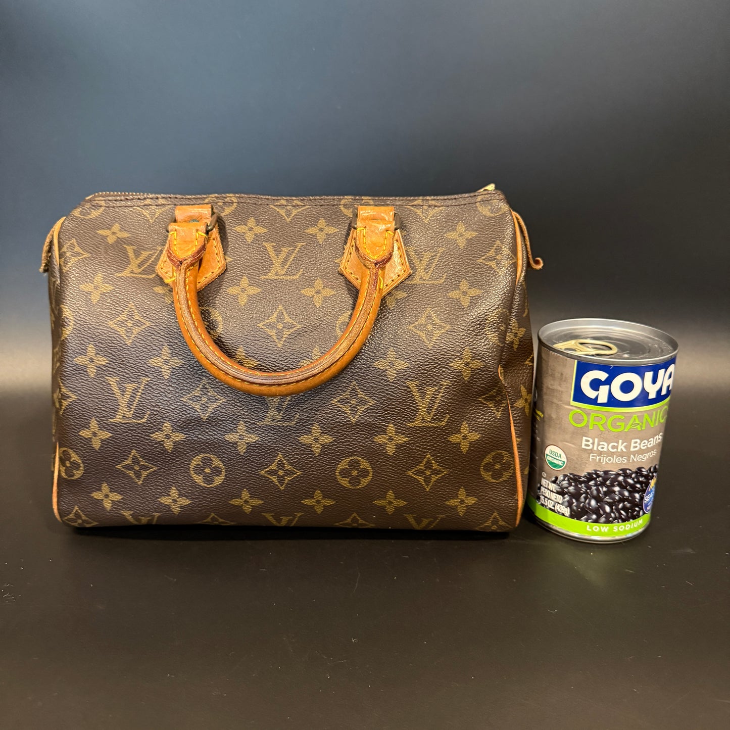 Louis Vuitton Speedy 25
