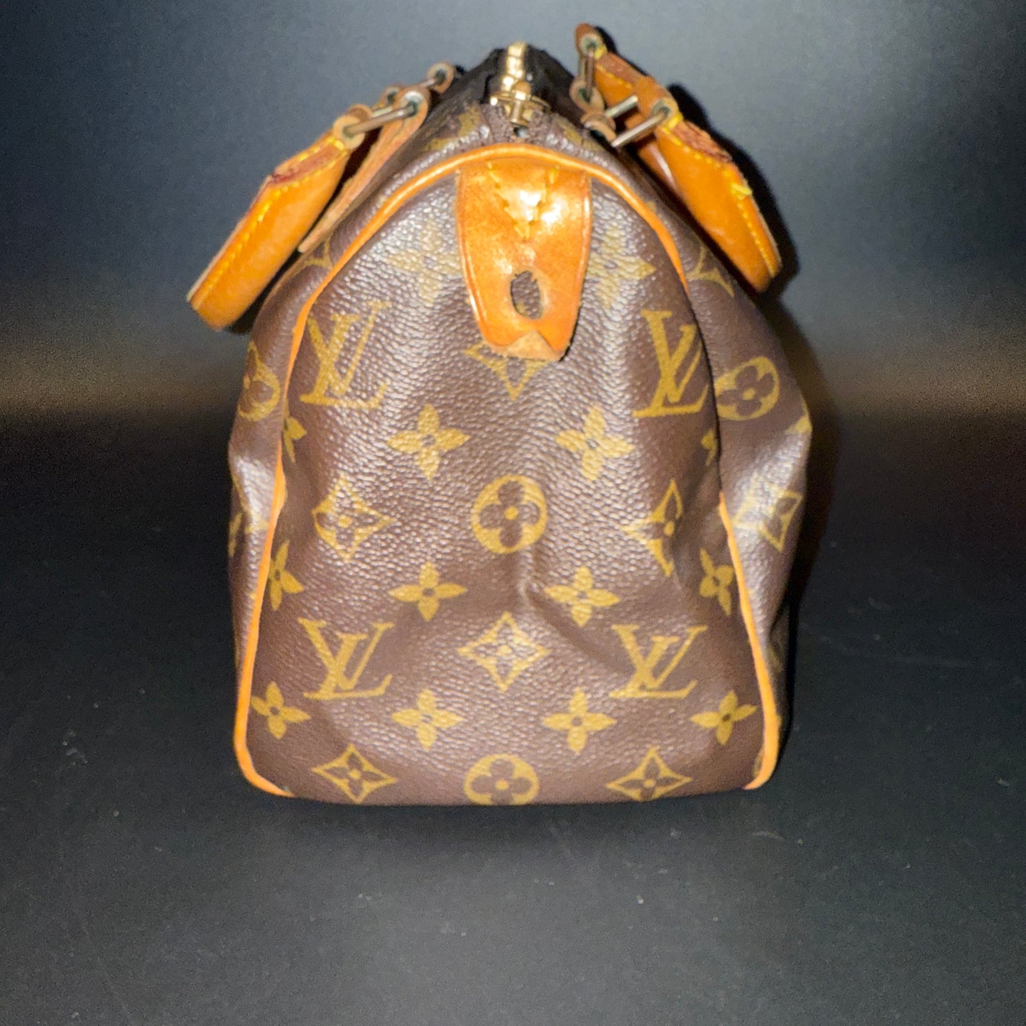Louis Vuitton Speedy 25