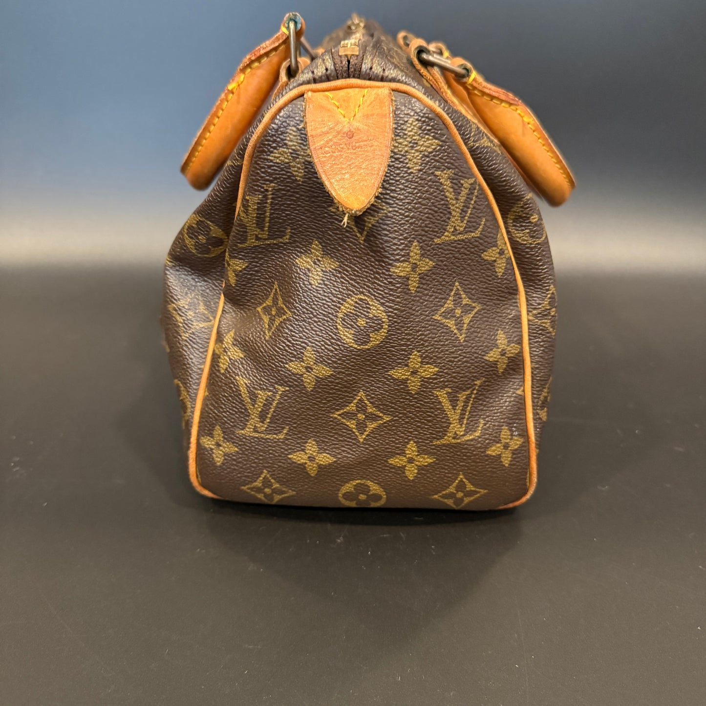 Louis Vuitton Speedy 25