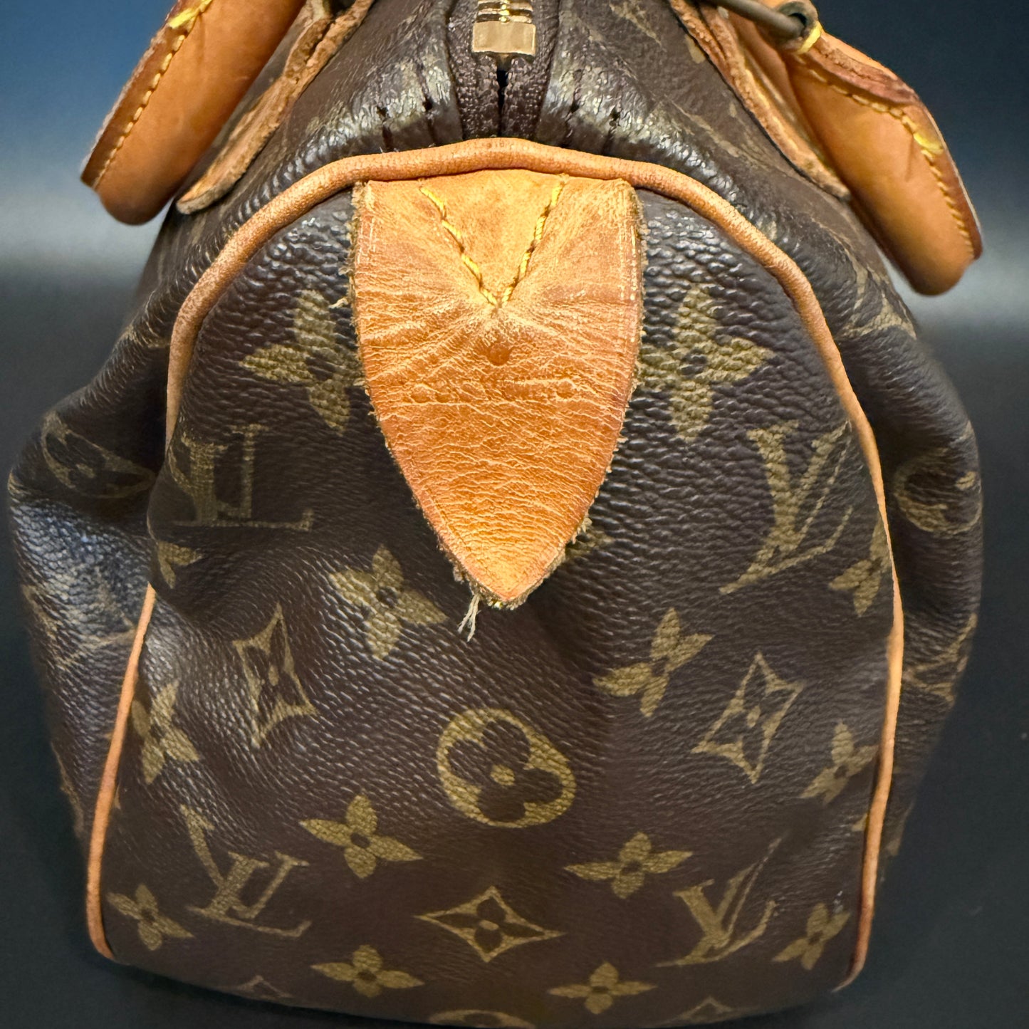 Louis Vuitton Speedy 25