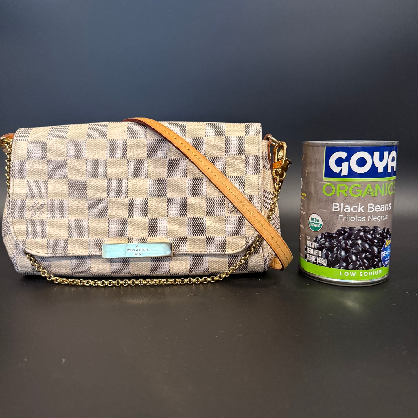 Louis Vuitton Favorite PM