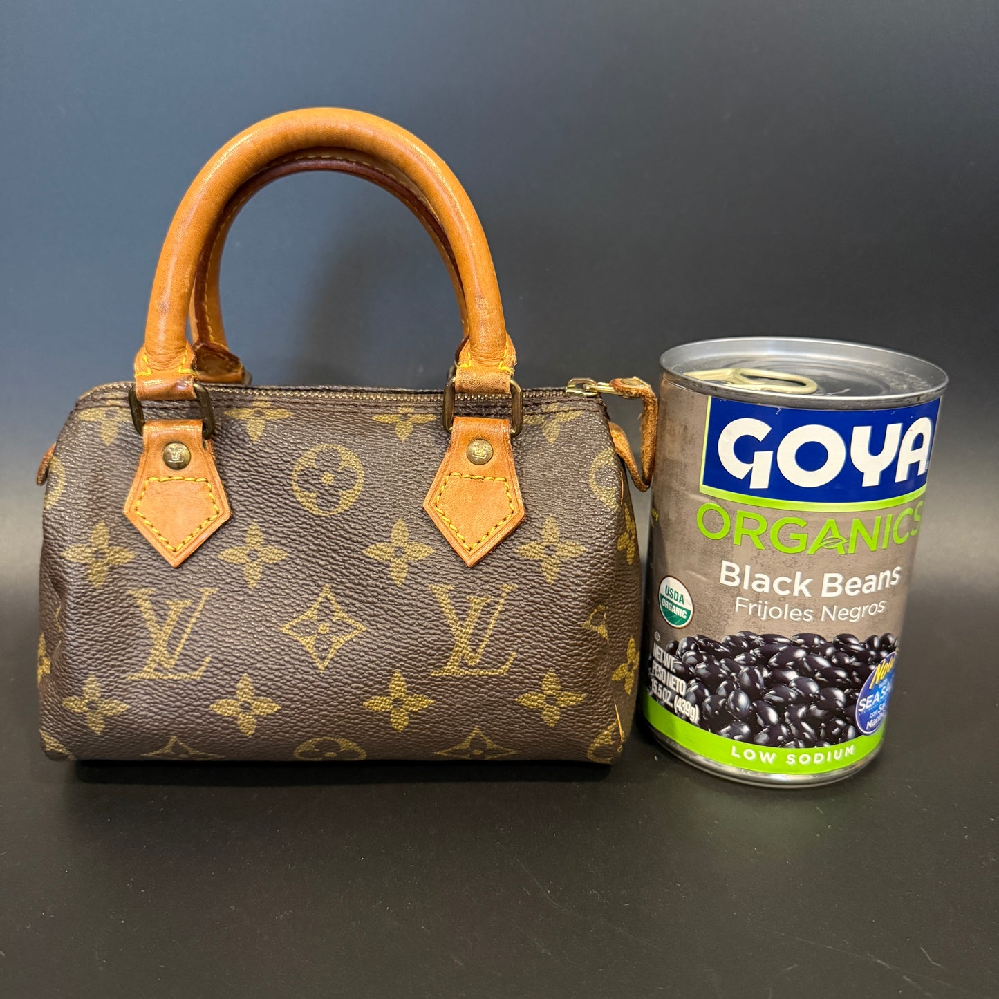 Louis Vuitton Mini Speedy