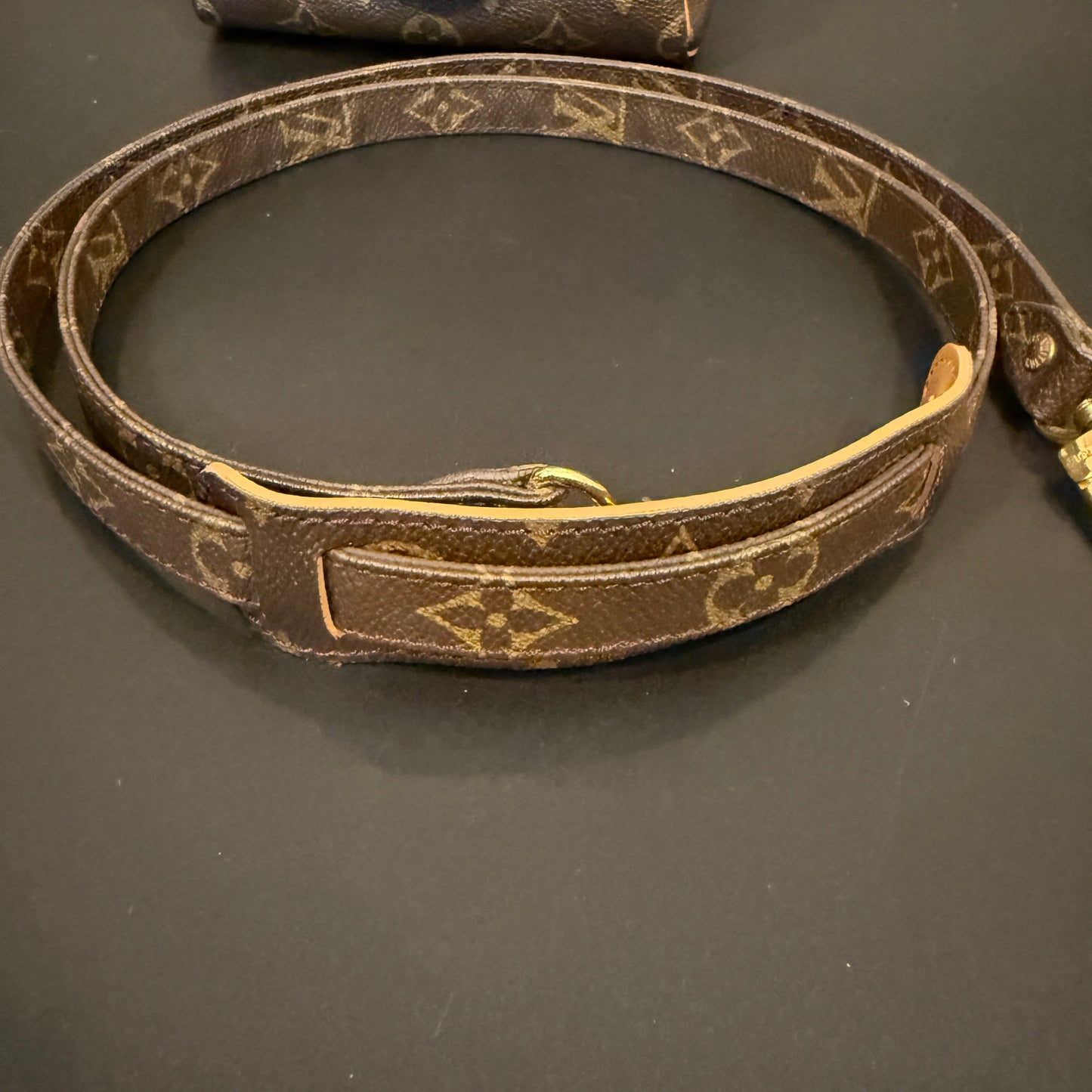 Louis Vuitton Mini Speedy