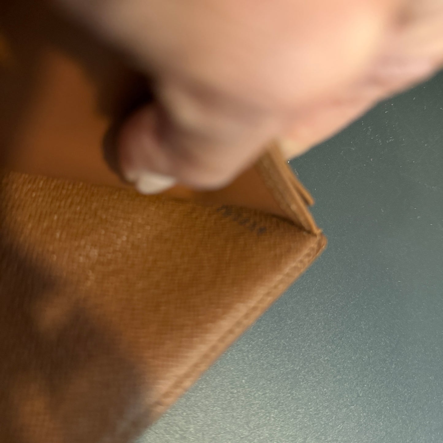 Louis Vuitton Koala Wallet