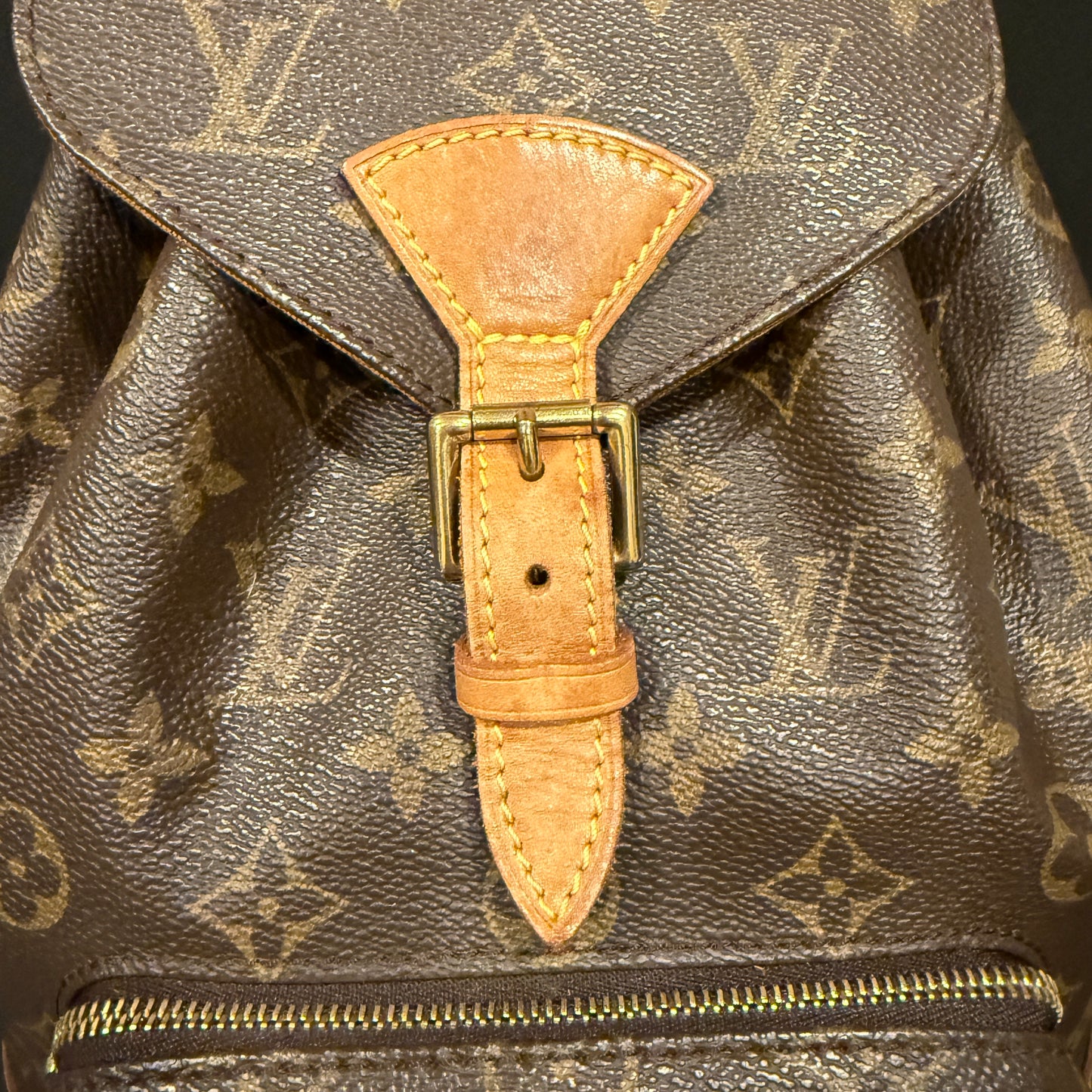 Louis Vuitton Montsouris MM