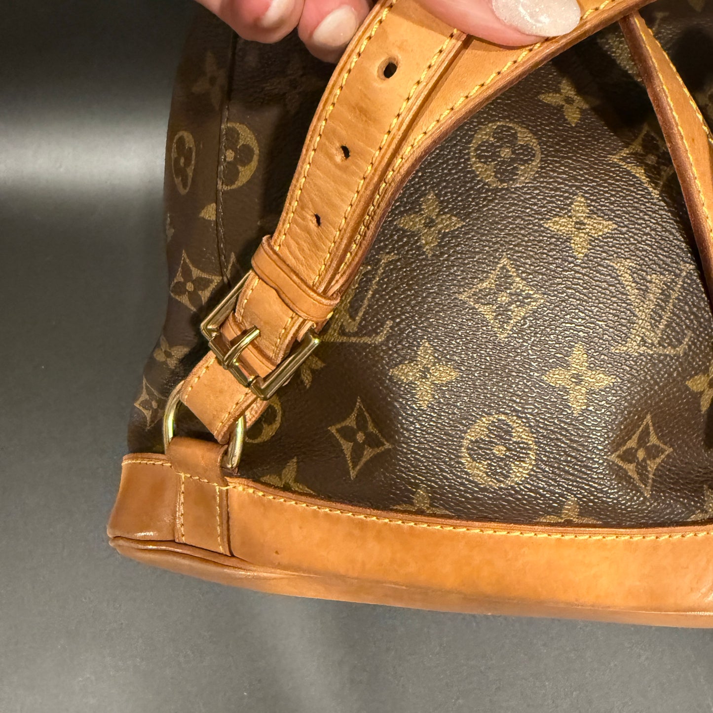 Louis Vuitton Montsouris MM