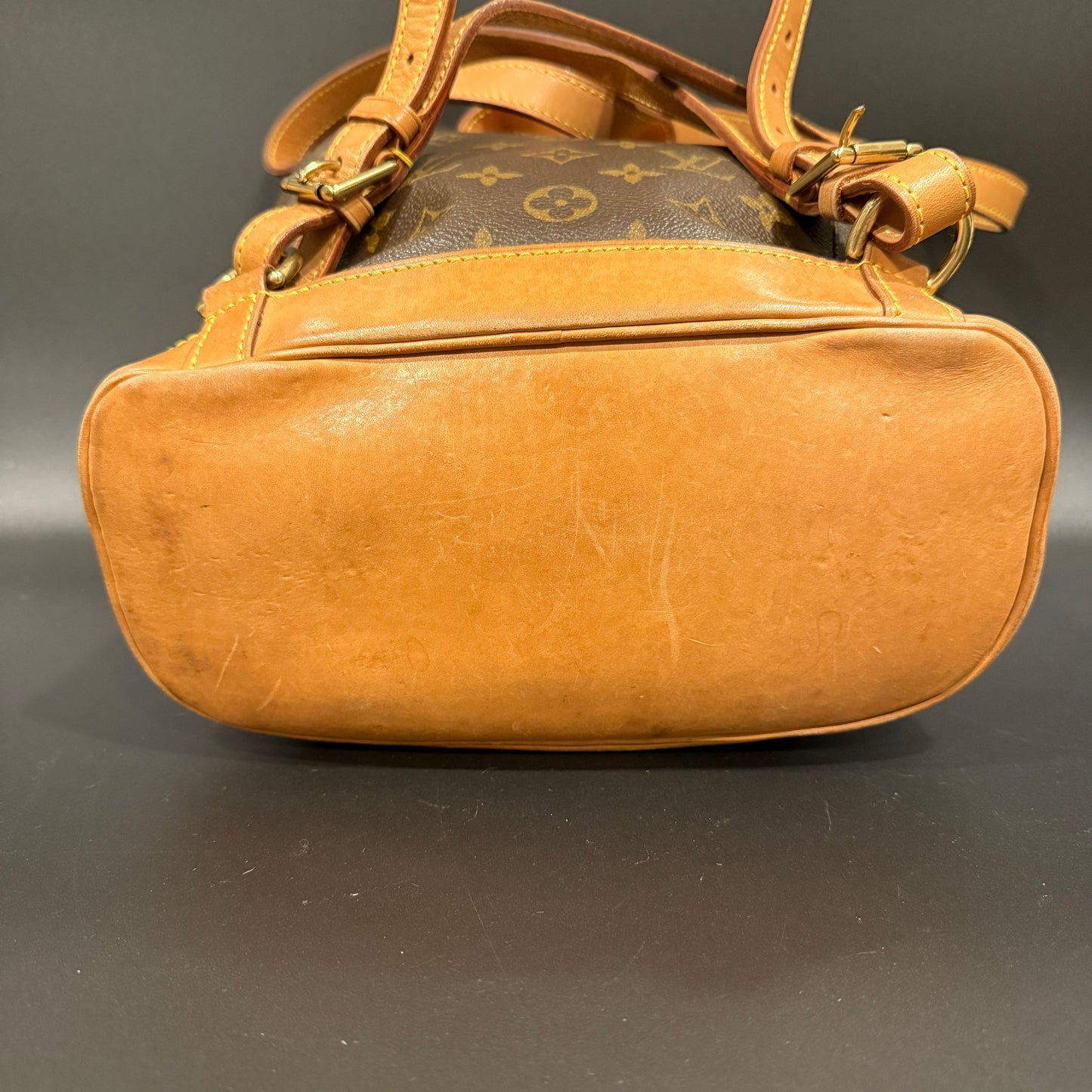 Louis Vuitton Montsouris MM