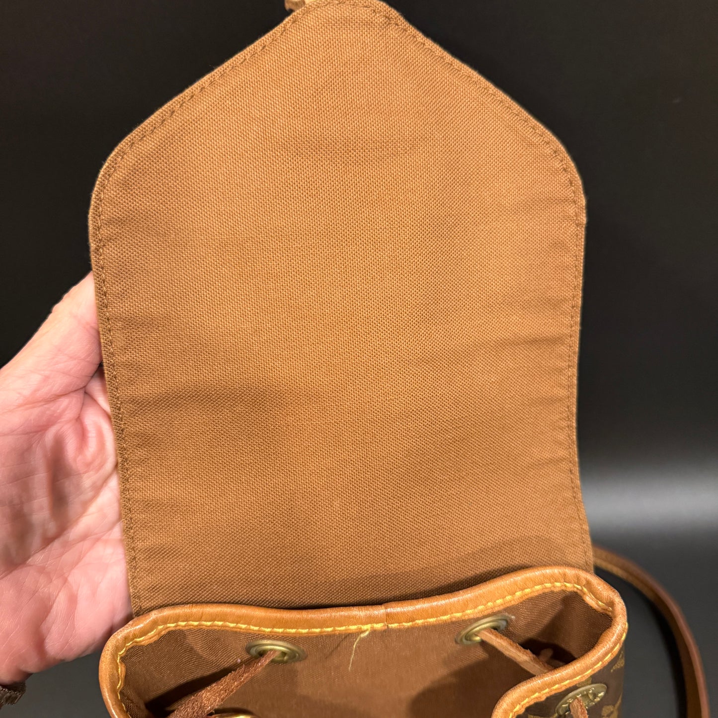 Louis Vuitton Montsouris MM