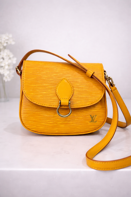 Louis Vuitton Saint Cloud