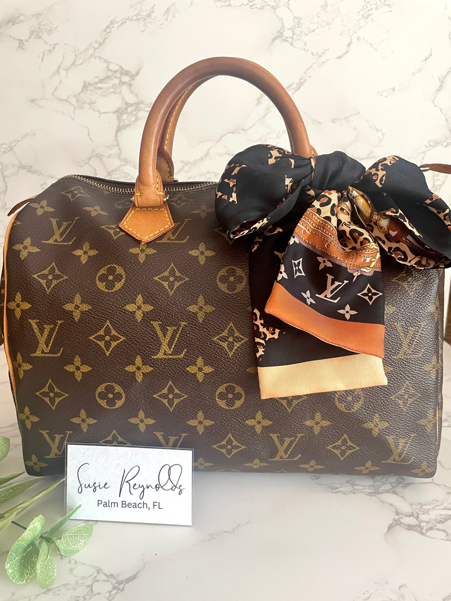 Louis Vuitton Speedy 30