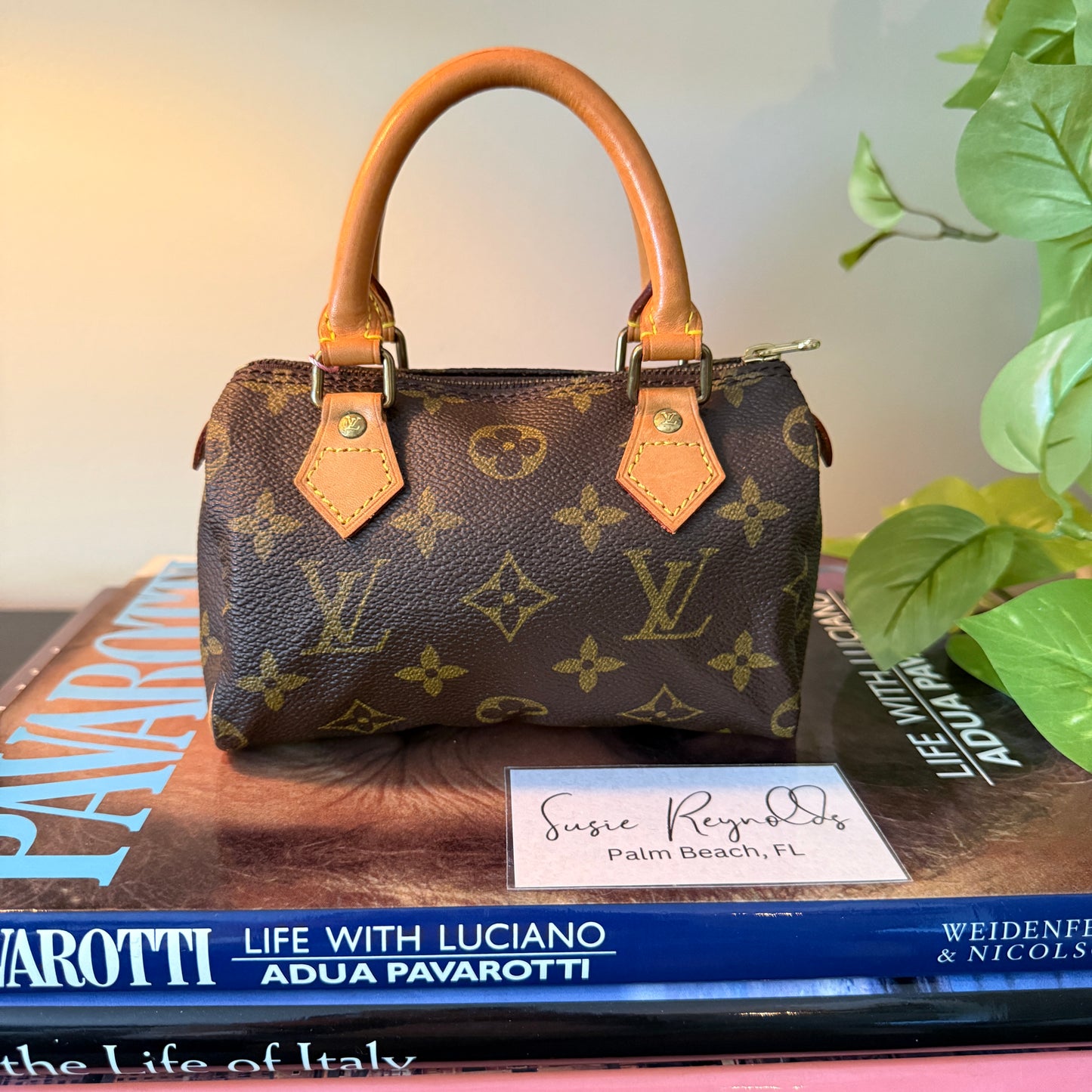 Louis Vuitton Mini Sac HL