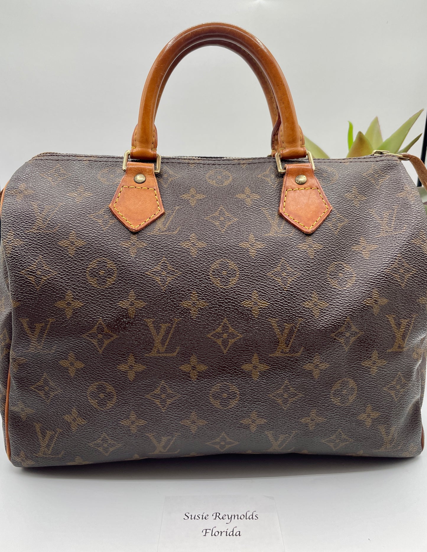 LOUIS VUITTON SPEEDY 30 MONOGRAM