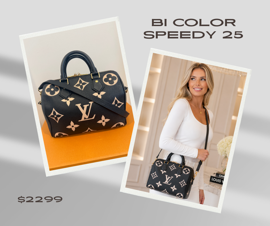 Louis Vuitton Speedy 25 Bicolor