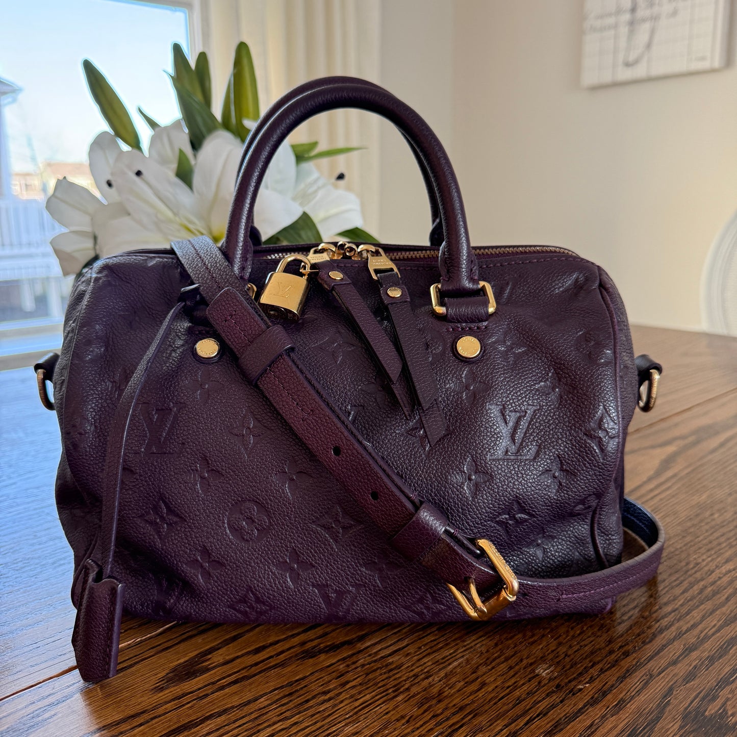 Louis Vuitton Speedy 25 Bandouliere