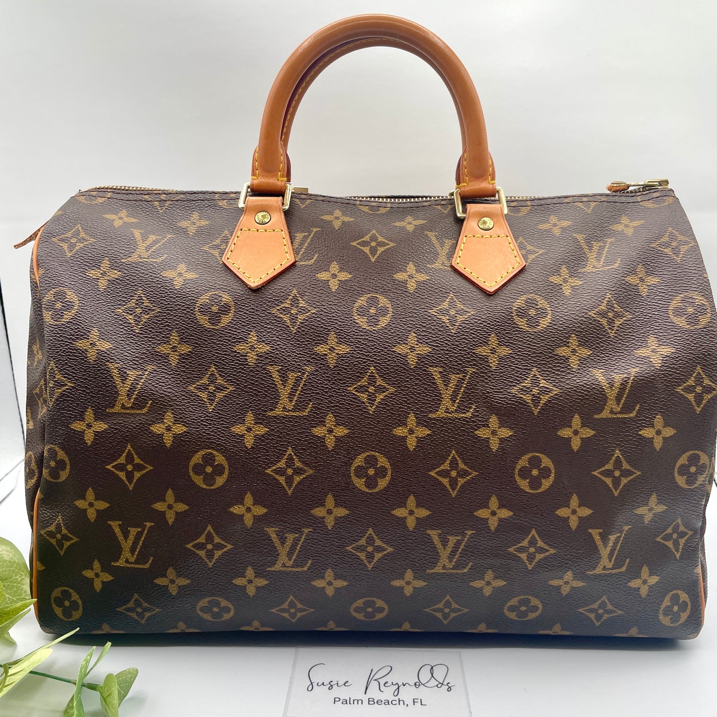 Louis Vuitton Speedy 35